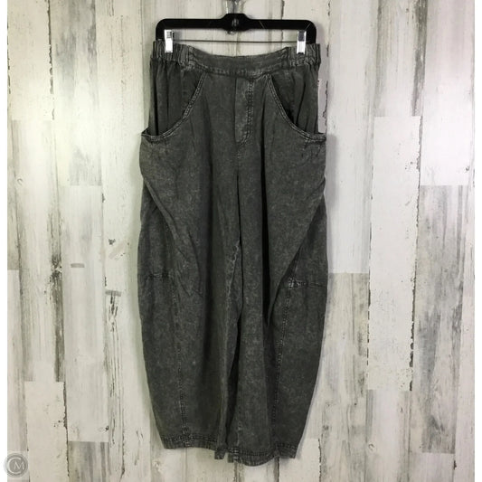 Pants Other By Free People In Grey, Size: 4
