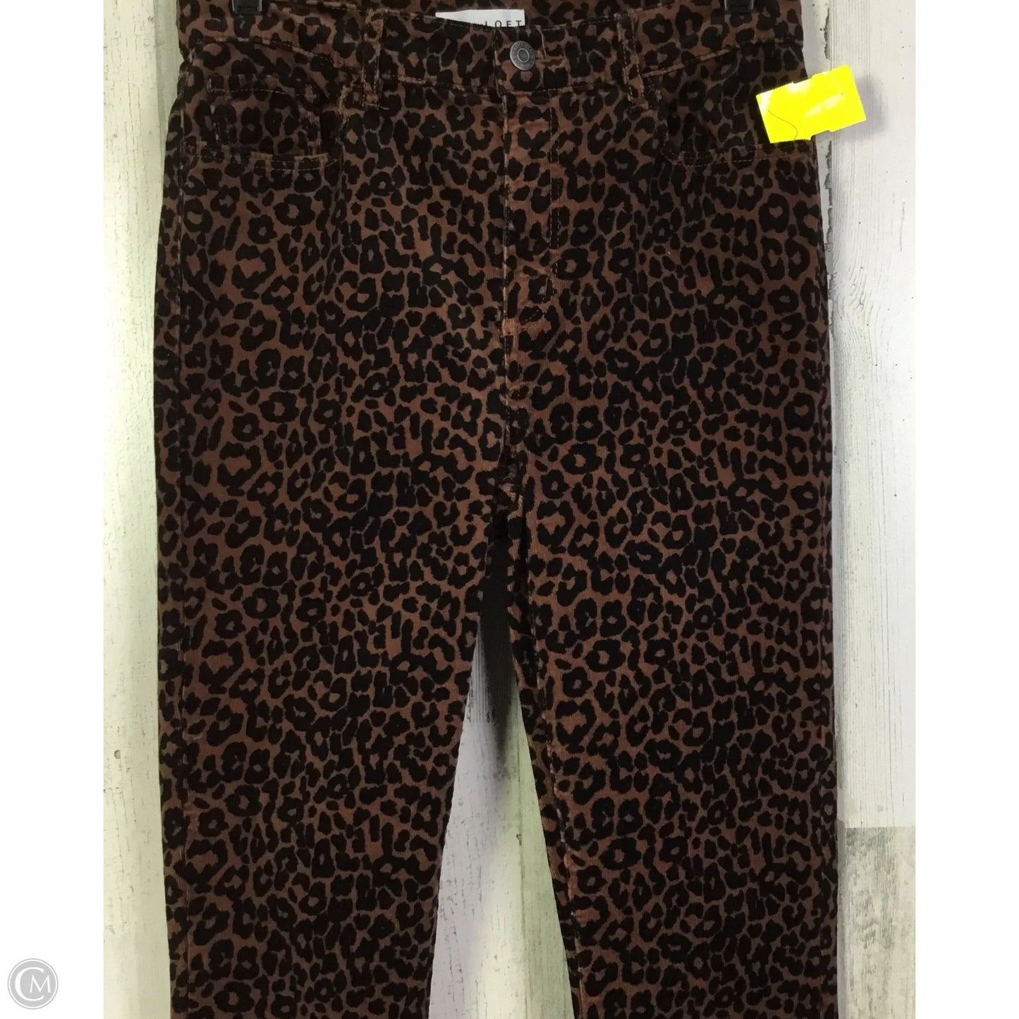 Pants Corduroy By Loft In Animal Print, Size: 4