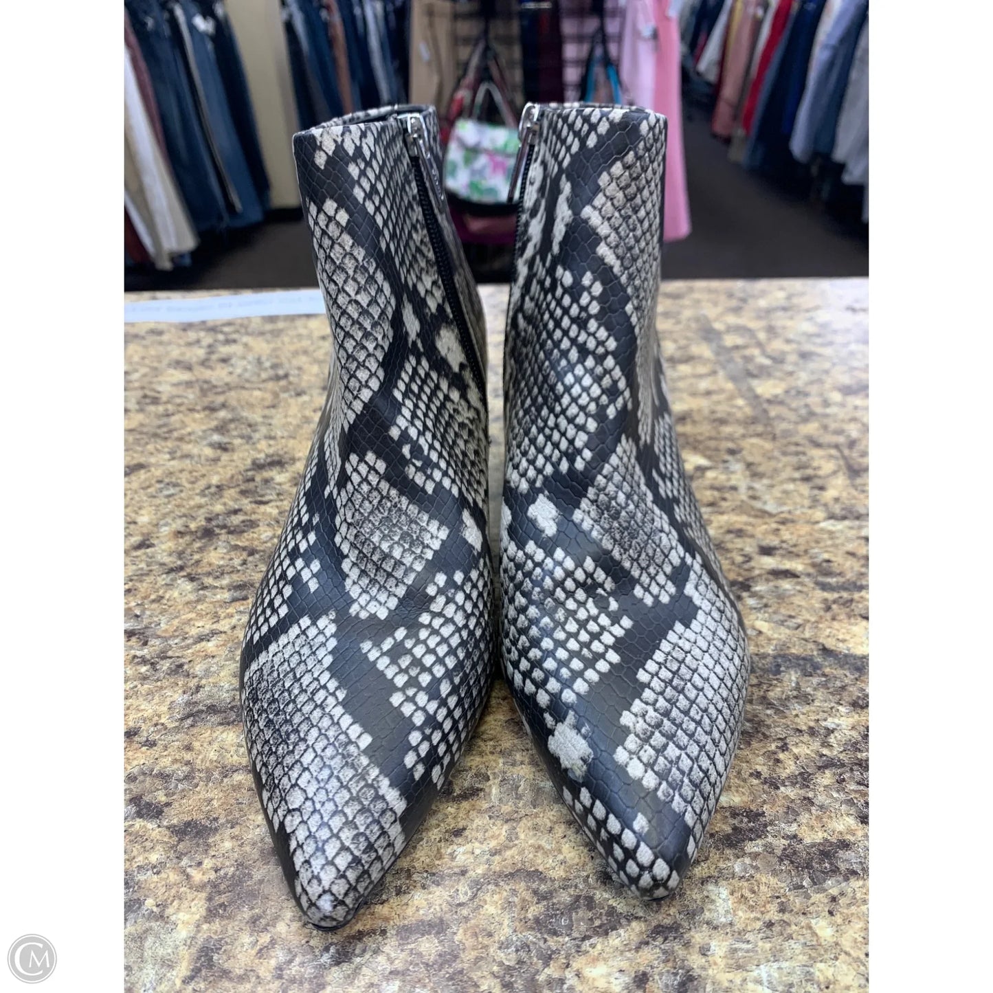 Boots Ankle Heels By Circus By Sam Edelman In Snakeskin Print, Size: 8