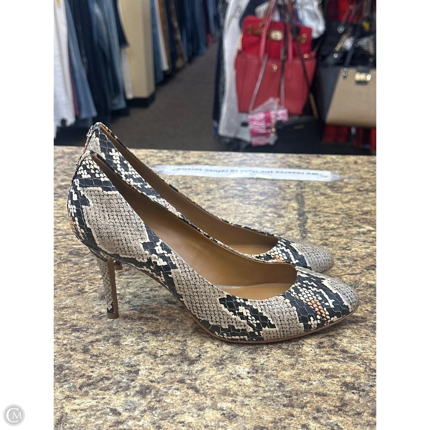 Shoes Designer By Coach In Snakeskin Print, Size: 9