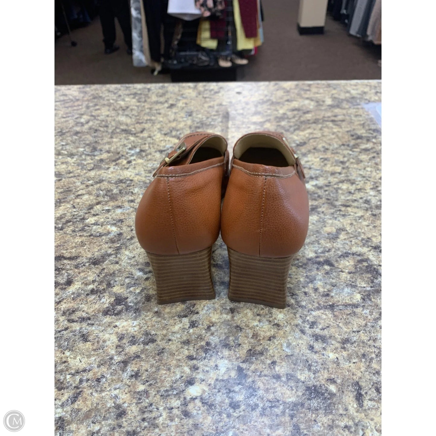 Shoes Heels Block By Joan And David In Brown, Size: 9