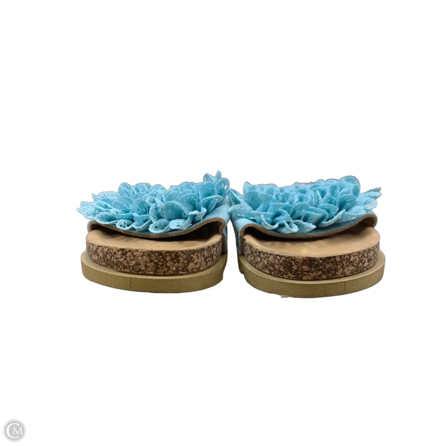 Sandals Flip Flops By C Est. 1946 In Blue, Size: 9