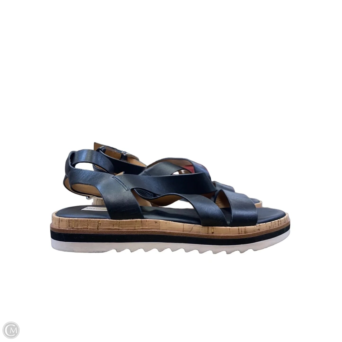 Sandals Flats By Antonio Melani In Black, Size: 8