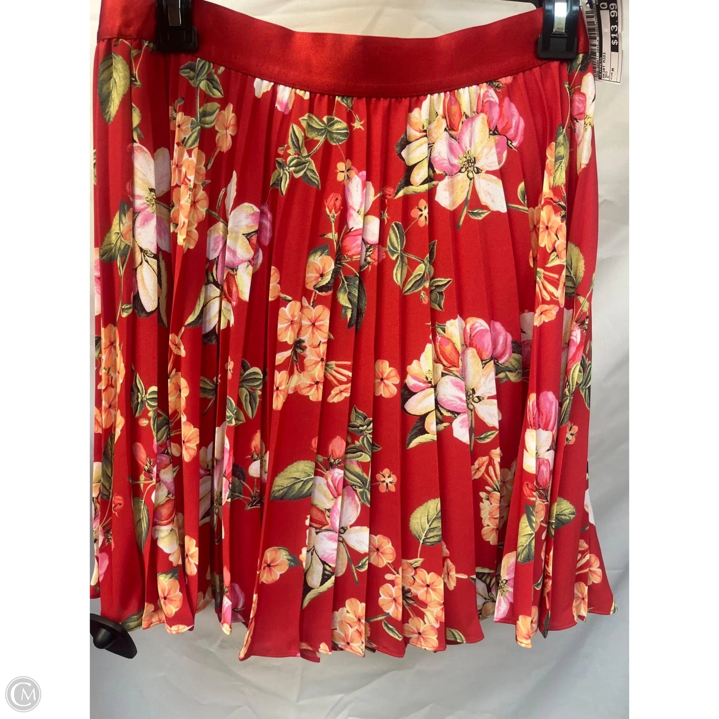 Skirt Midi By Express In Red, Size: M