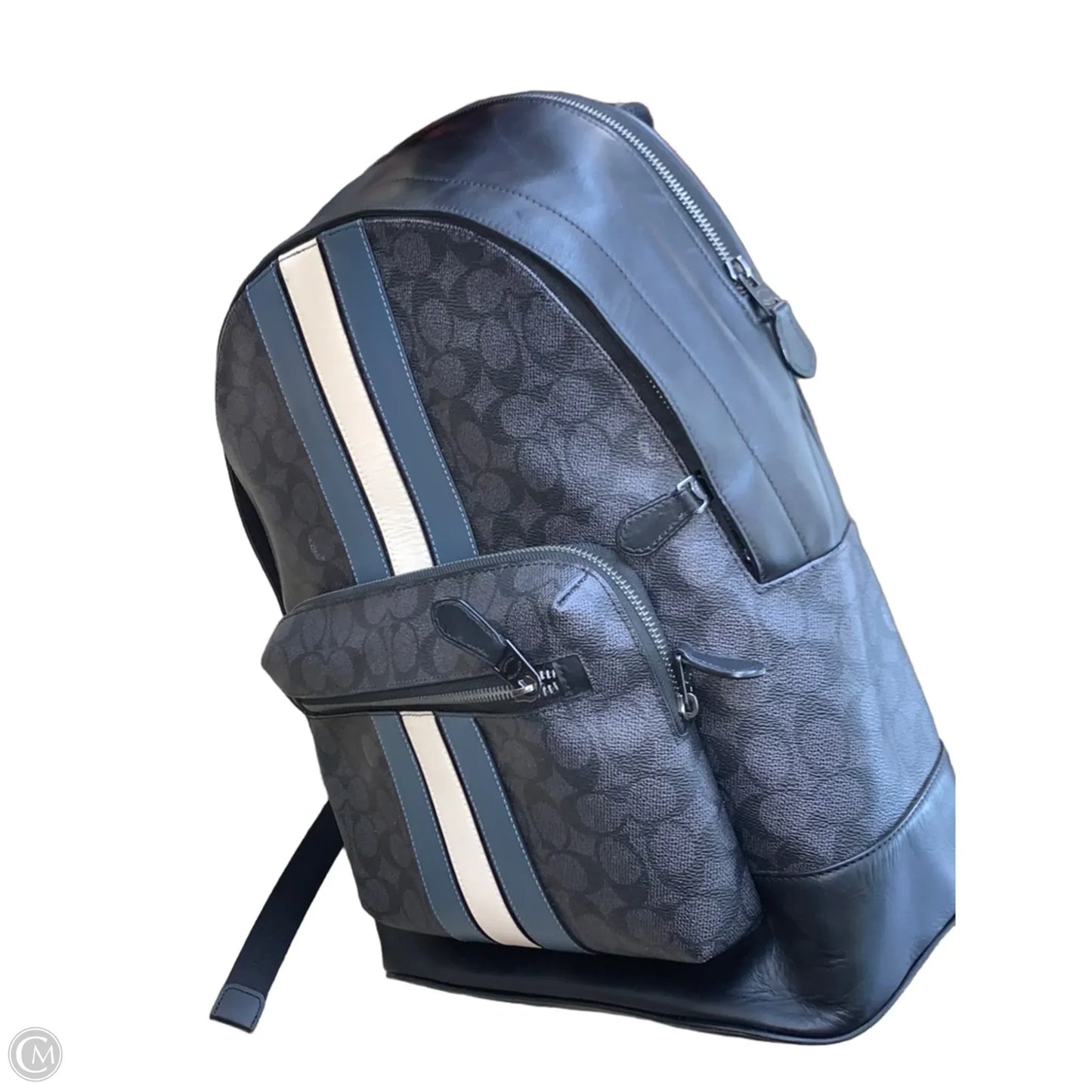 Backpack Designer By Coach, Size: Large