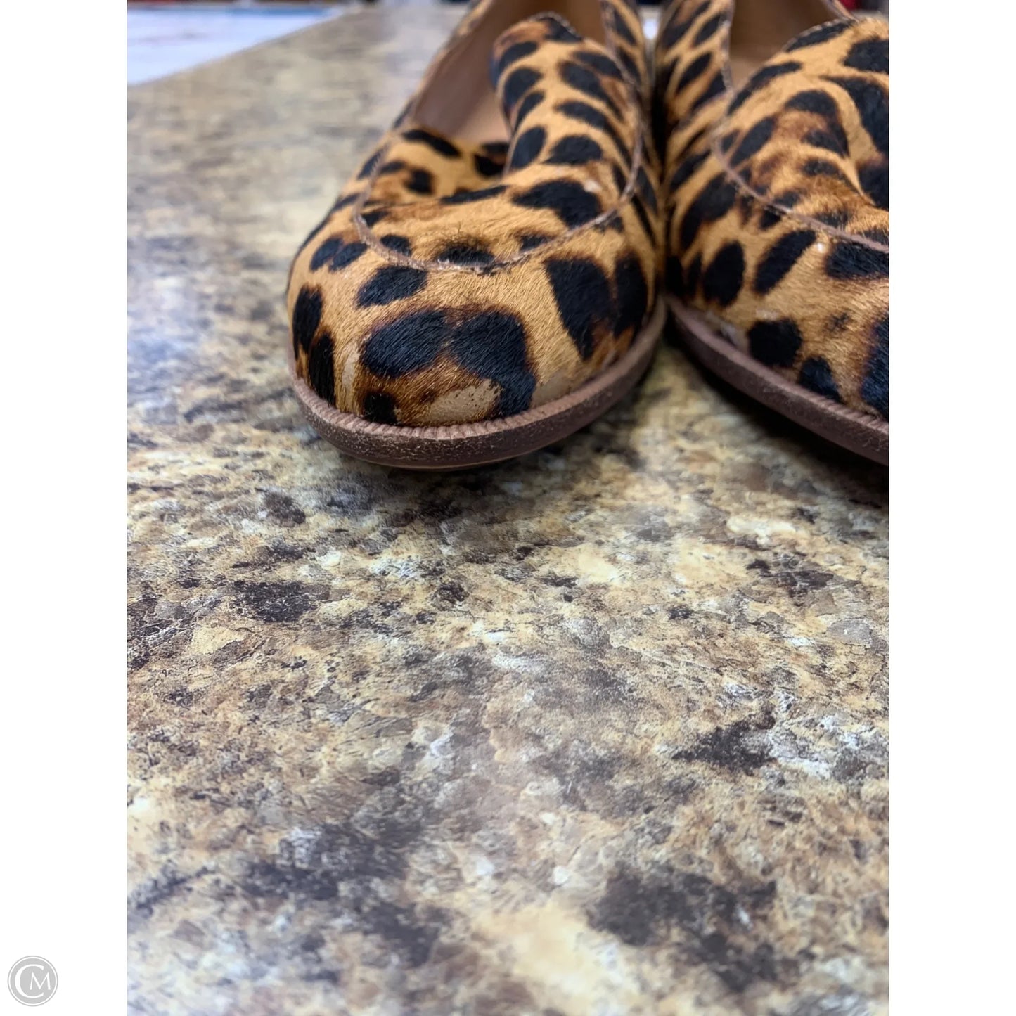 Shoes Flats By Madewell In Leopard Print, Size: 5.5