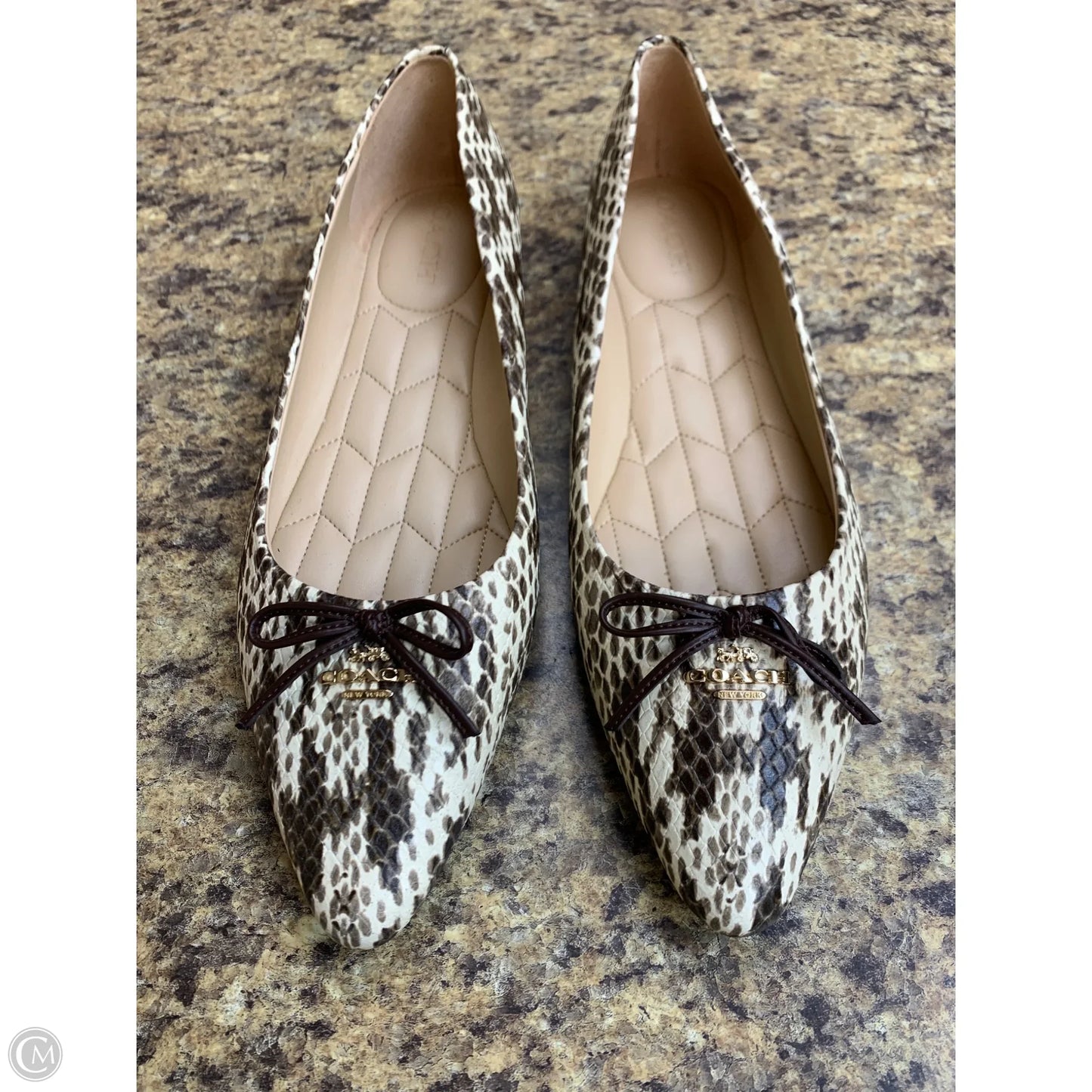 Shoes Designer By Coach In Animal Print, Size: 10