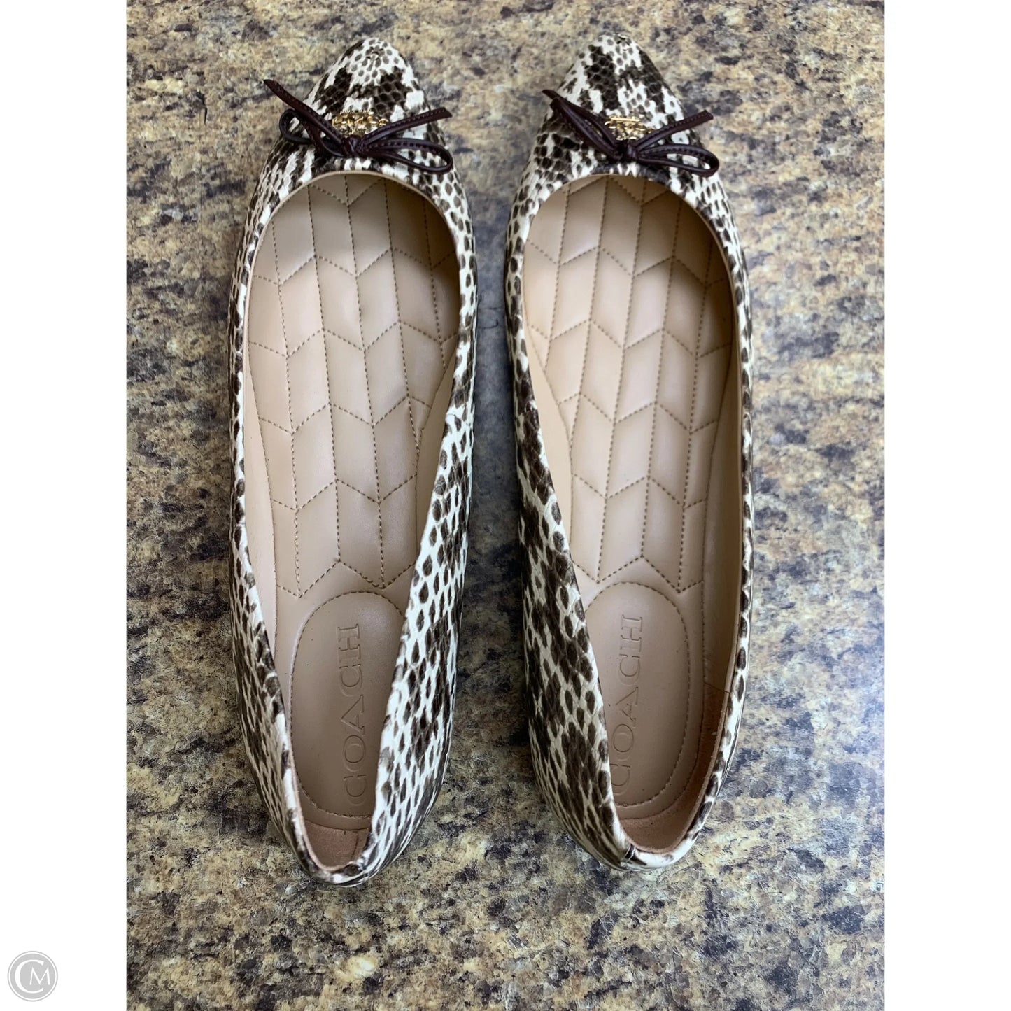 Shoes Designer By Coach In Animal Print, Size: 10