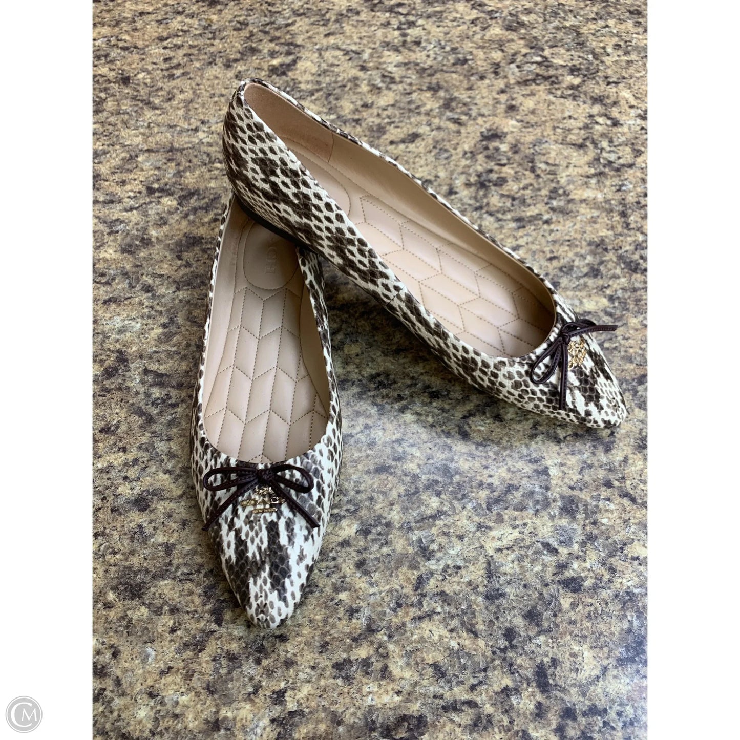 Shoes Designer By Coach In Animal Print, Size: 10