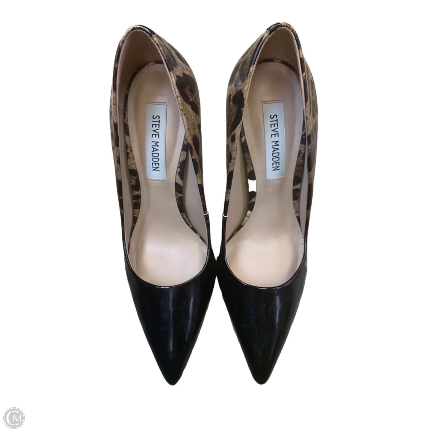 Shoes Heels Stiletto By Steve Madden In Animal Print, Size: 7