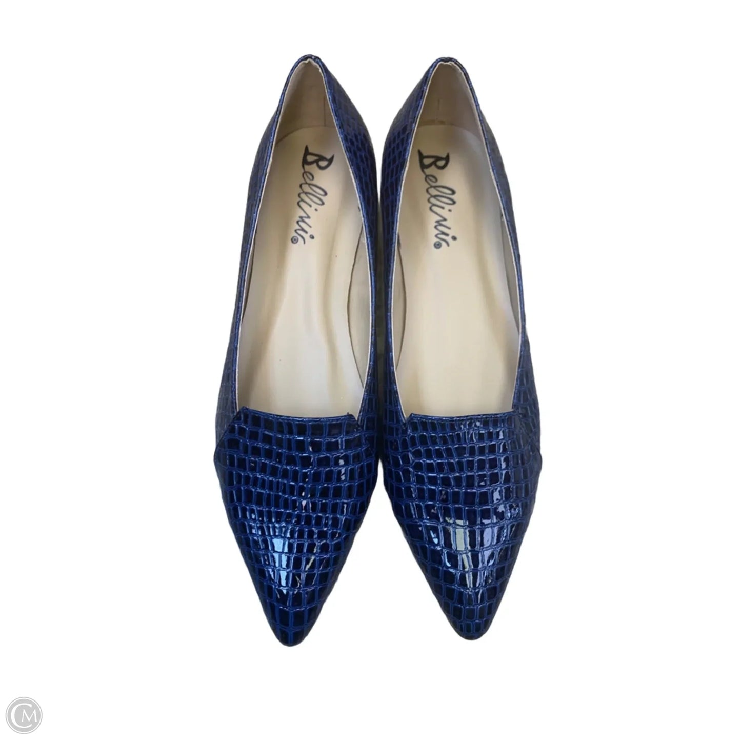 Shoes Flats By Bellini In Snakeskin Print, Size: 11