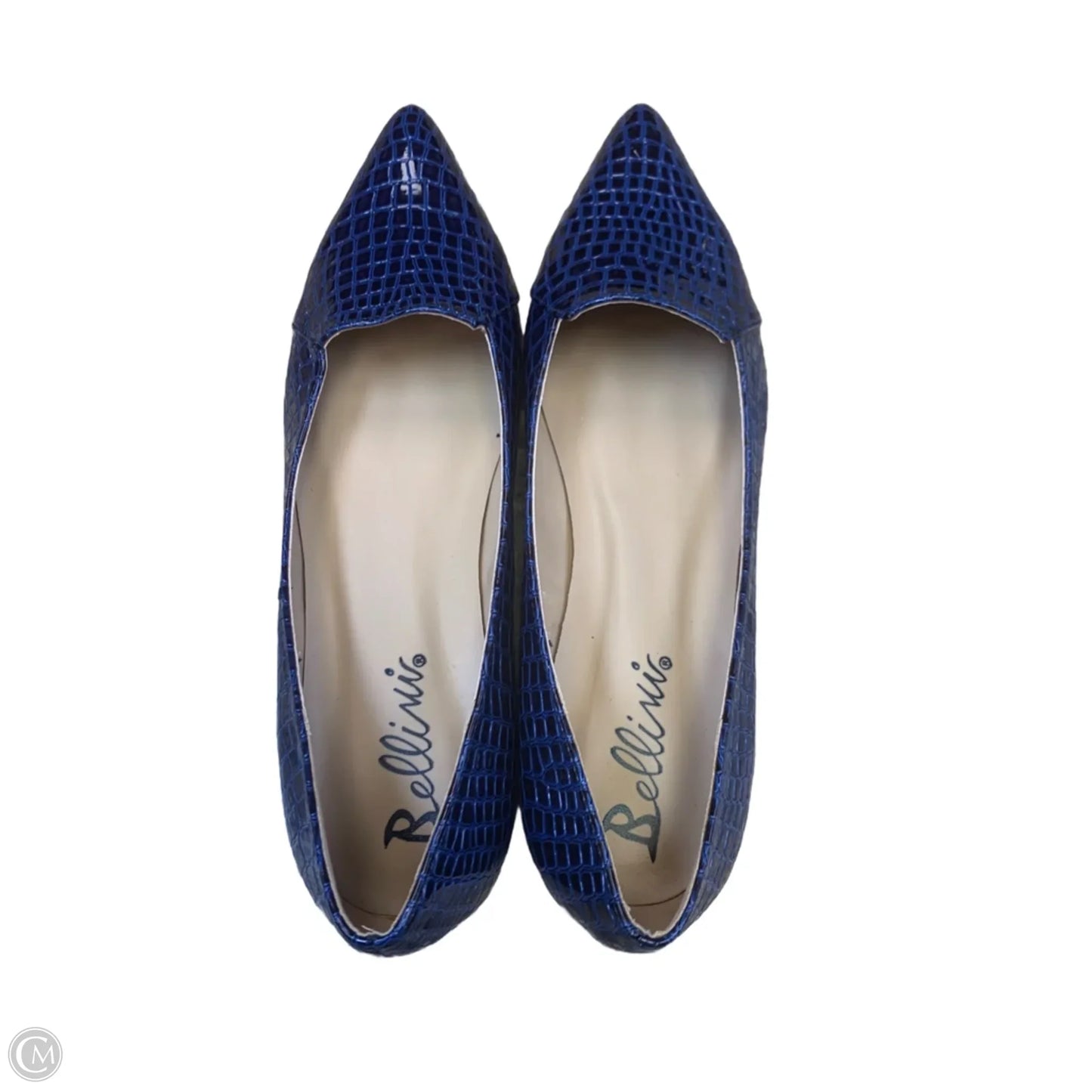 Shoes Flats By Bellini In Snakeskin Print, Size: 11