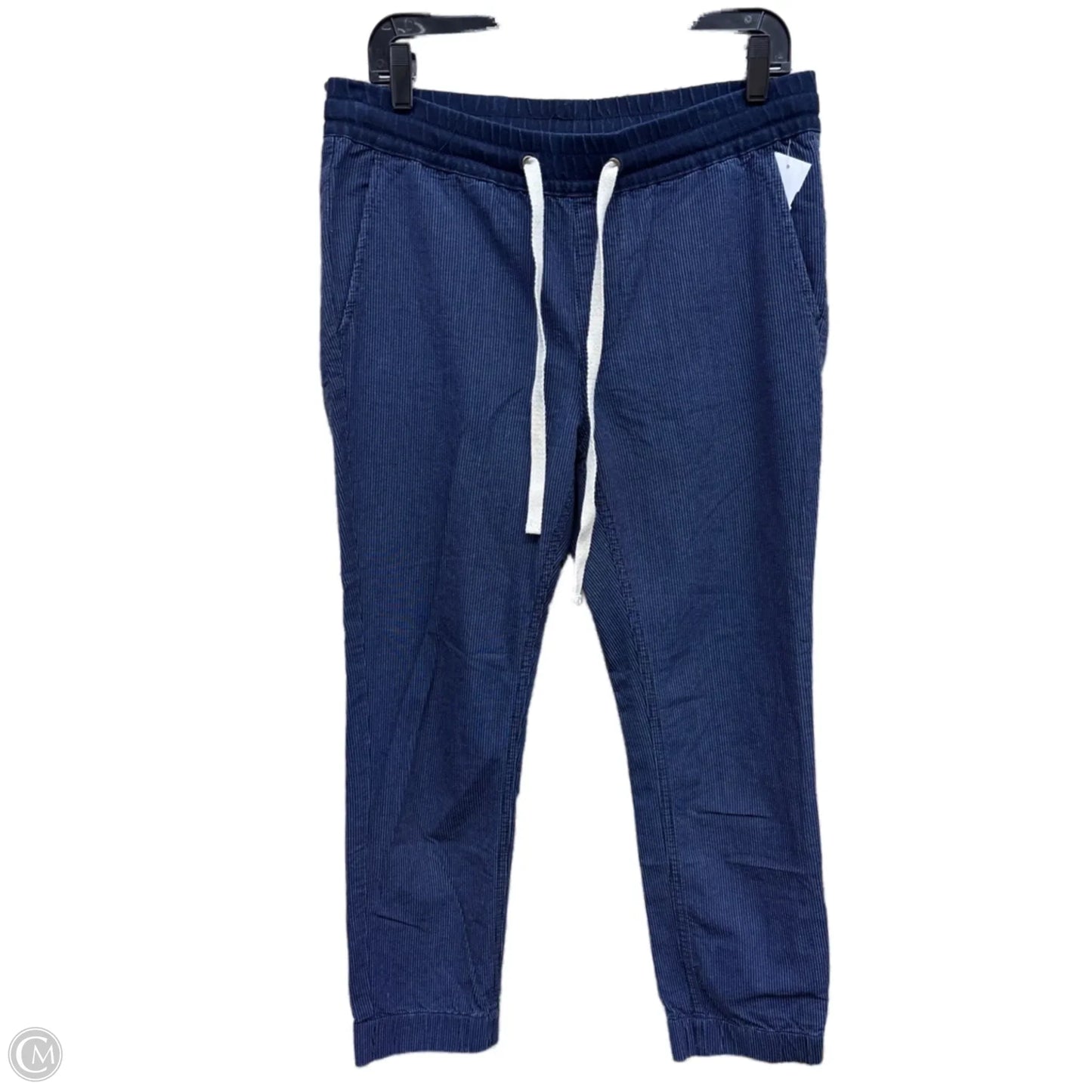 Pants Other By J. Crew In Blue, Size: 2