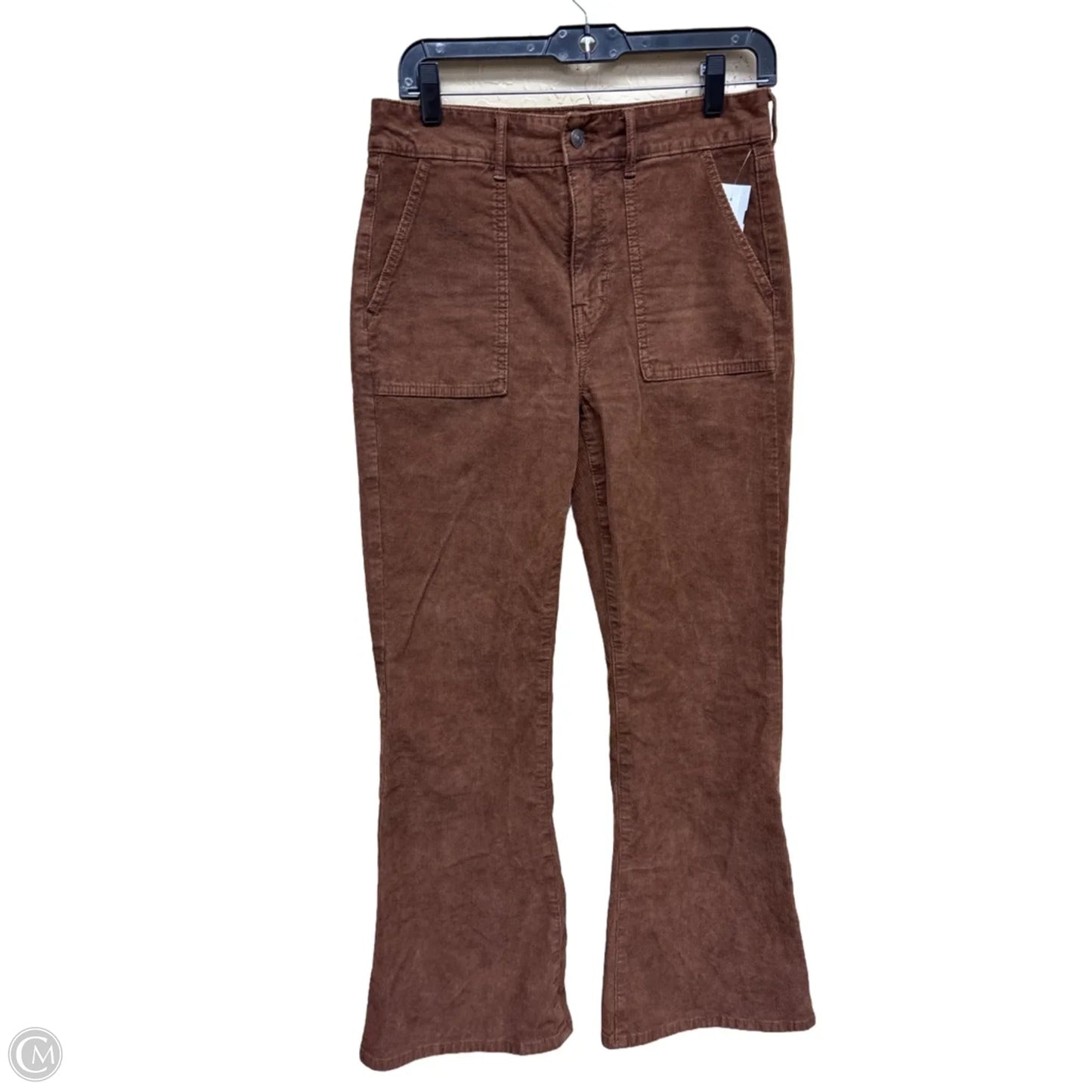 Pants Corduroy By American Eagle In Brown, Size: 8