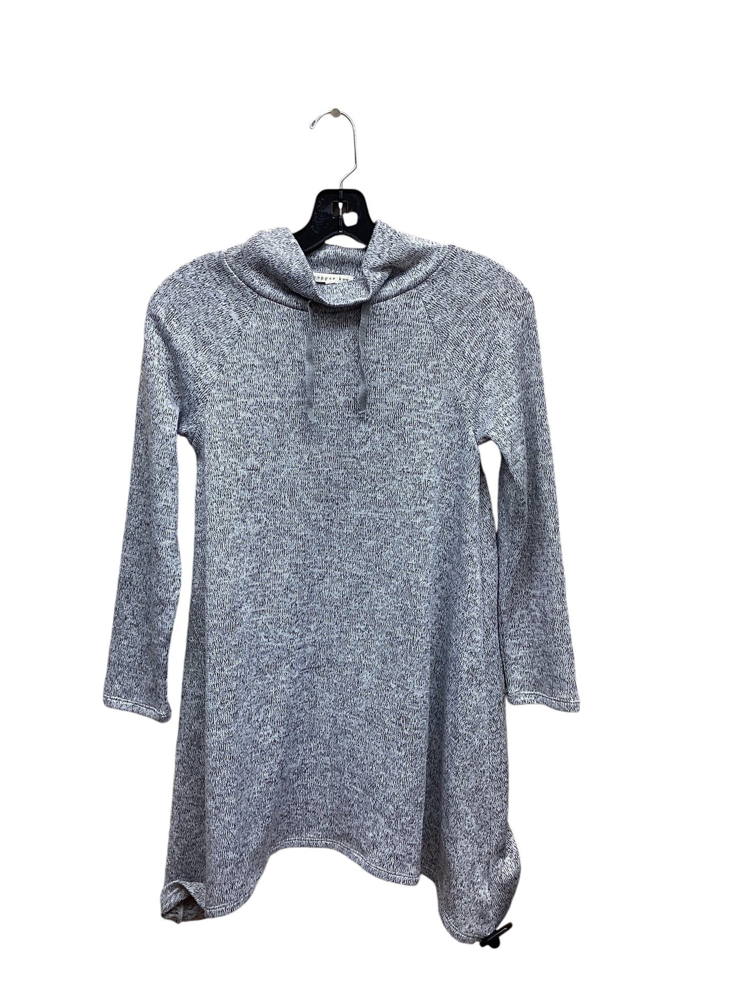 Sweater By Copper Key In Grey, Size: M