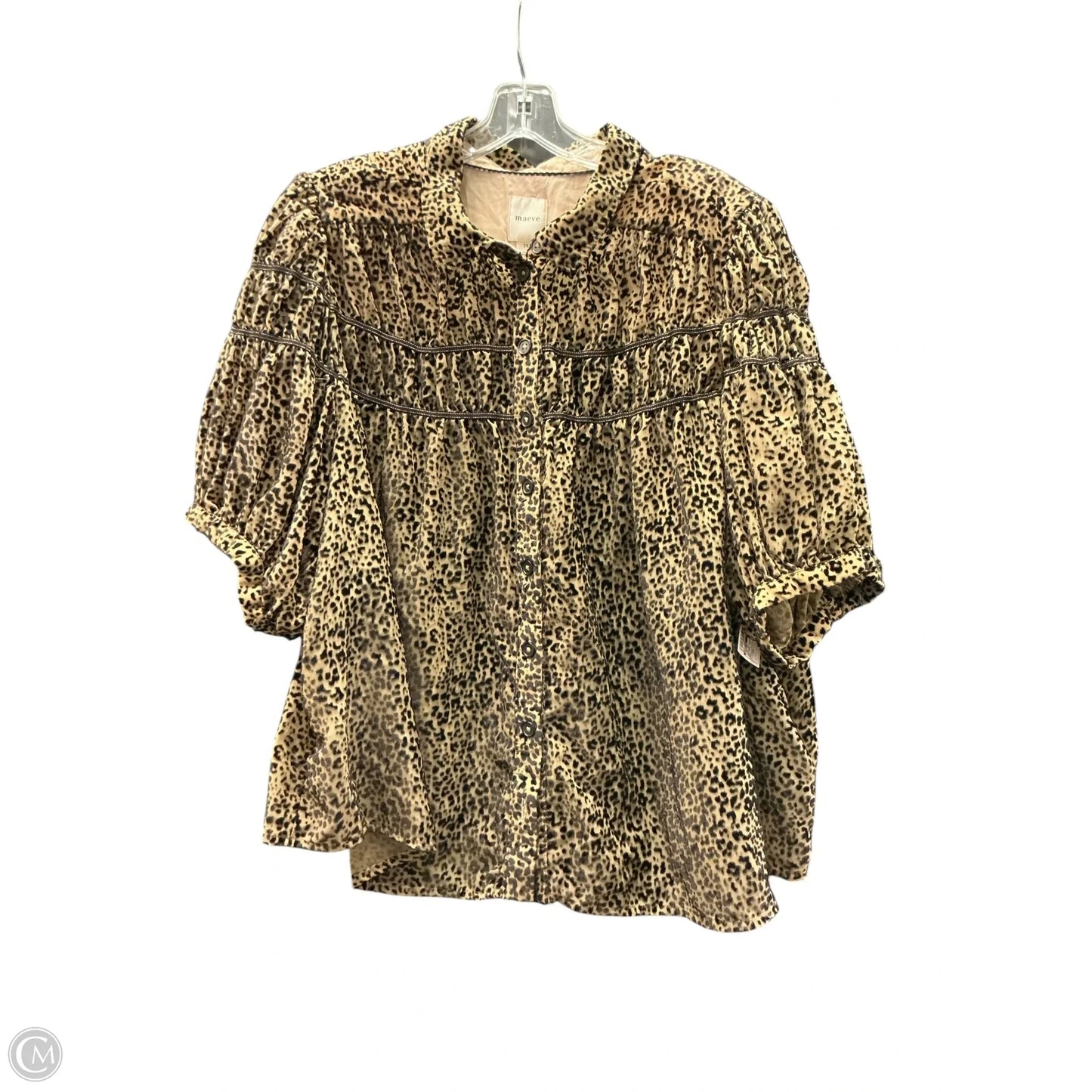 Top Short Sleeve By Maeve In Animal Print, Size: 2x