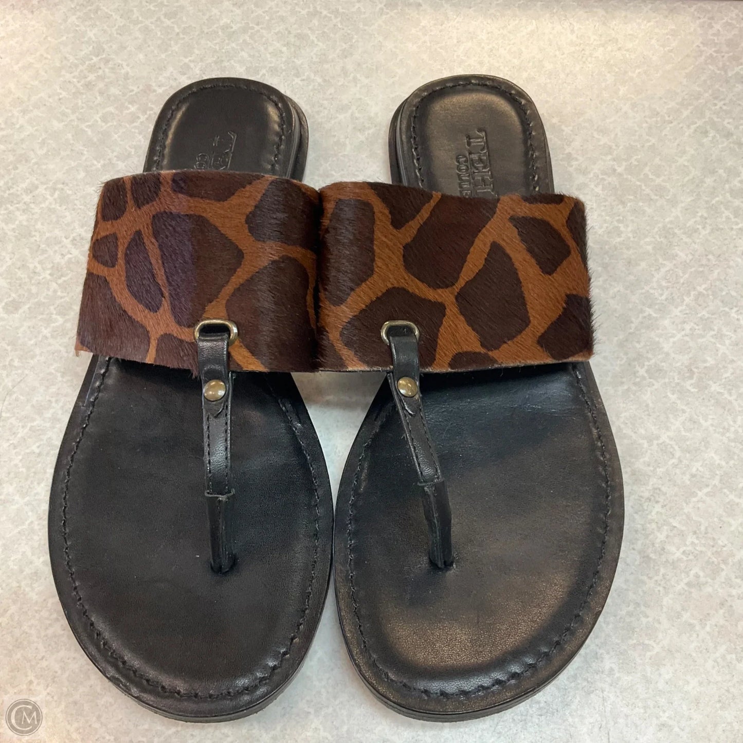 Sandals Flats By Clothes Mentor In Animal Print, Size: 6