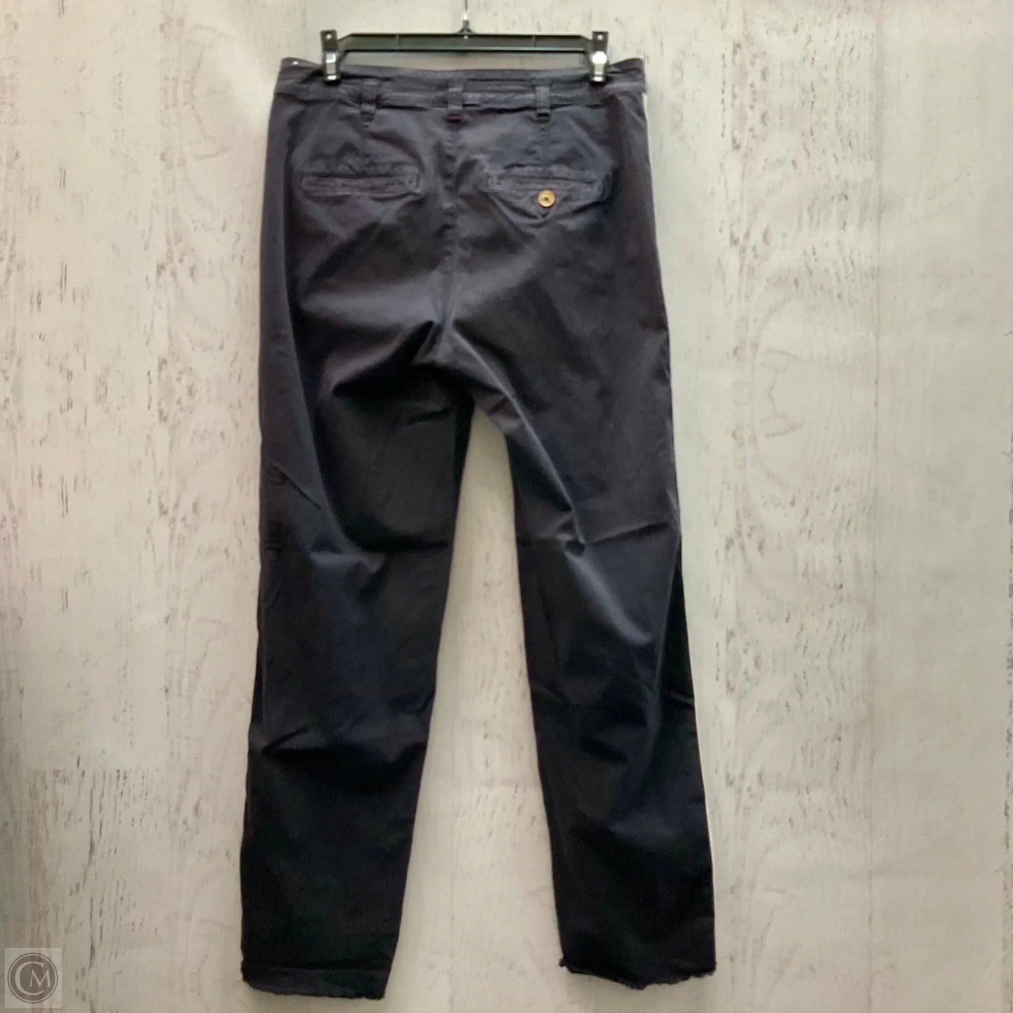 Pants Other By Pilcro In Purple, Size: 4