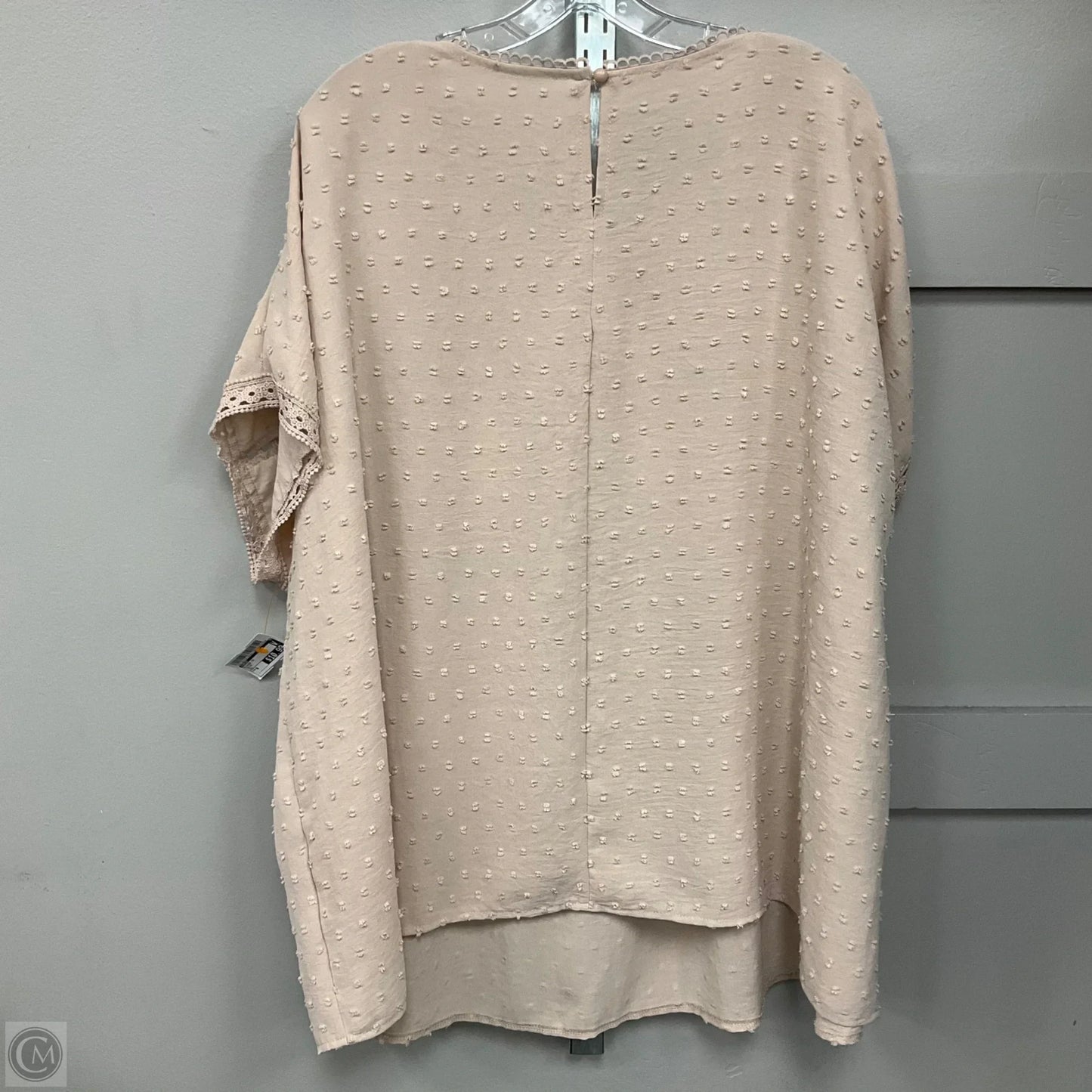 Blouse Short Sleeve By Shein In Beige, Size: 6XL