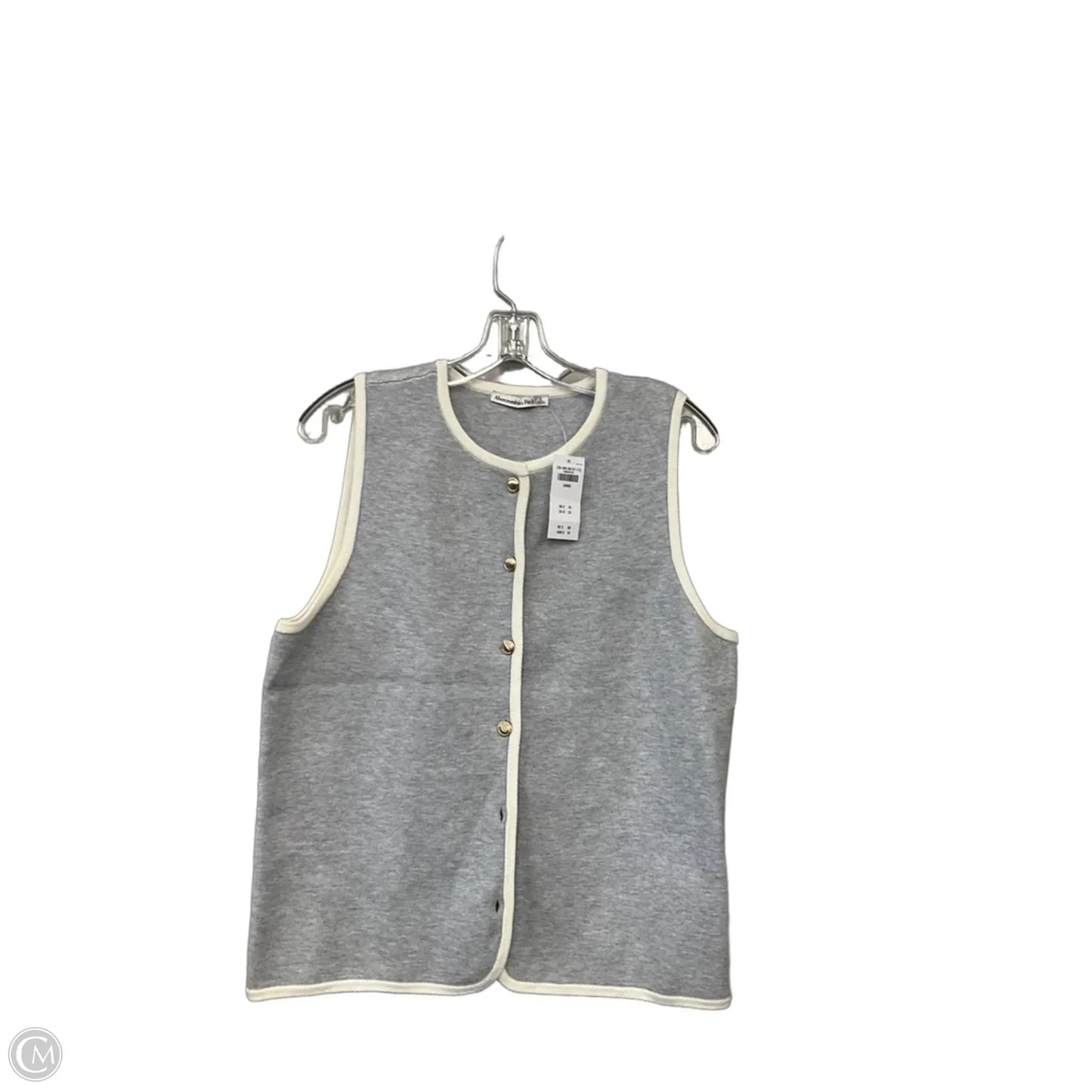 Top Sleeveless By Abercrombie And Fitch In Grey, Size: L