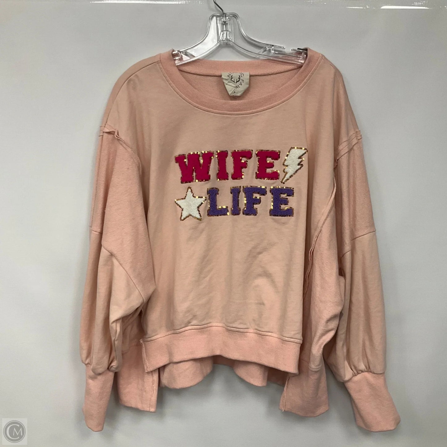 Sweatshirt Crewneck By Fantastic Fawn In Pink, Size: S