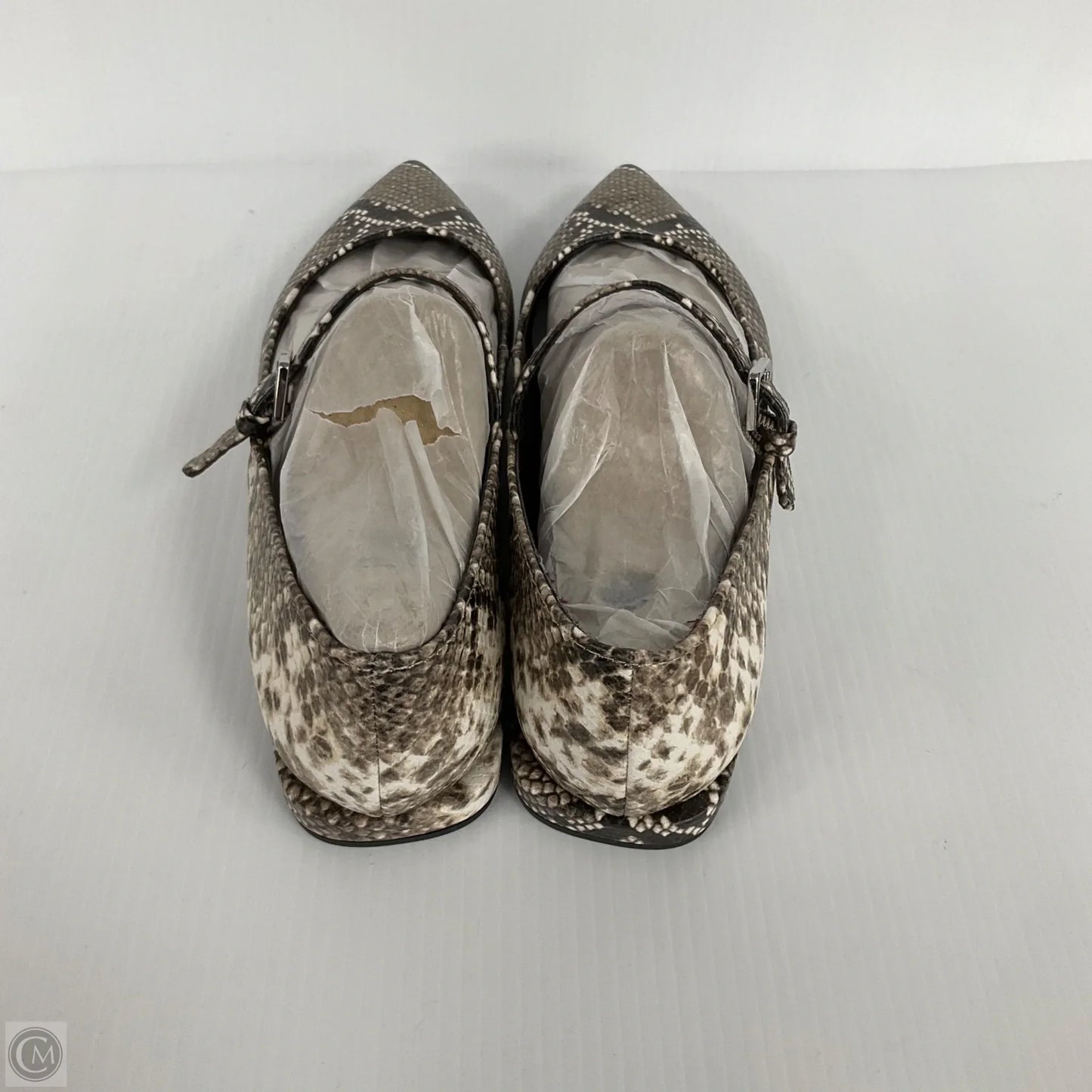 Shoes Flats By Franco Sarto In Snakeskin Print, Size: 7