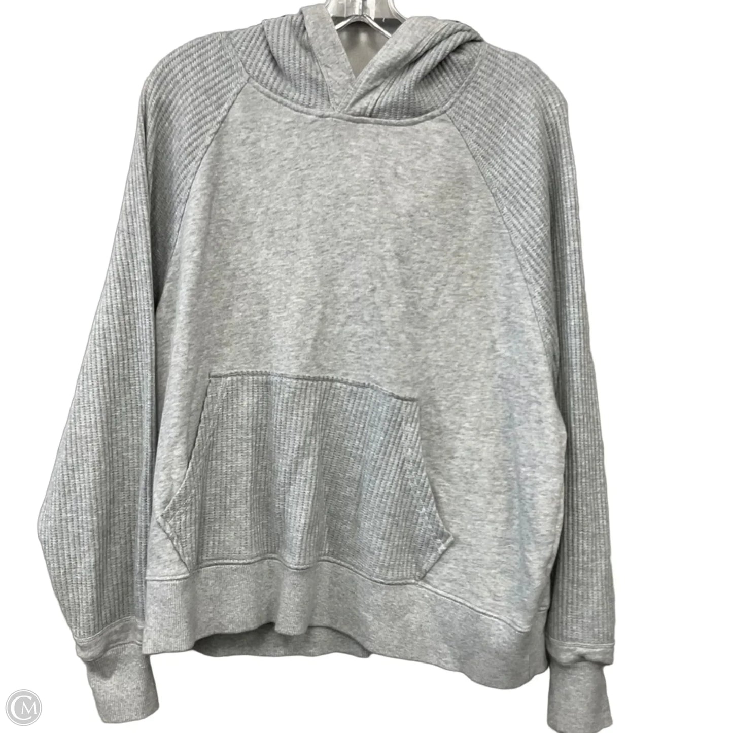 Sweatshirt Hoodie By Aerie In Grey, Size: M