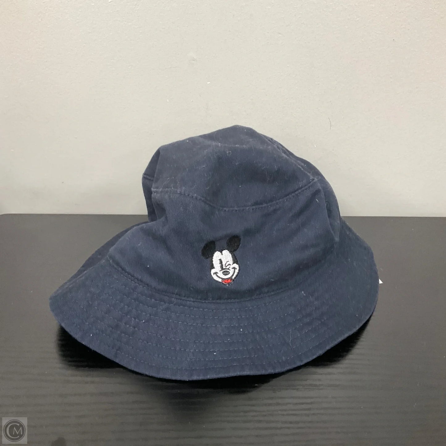 Hat Bucket By Disney