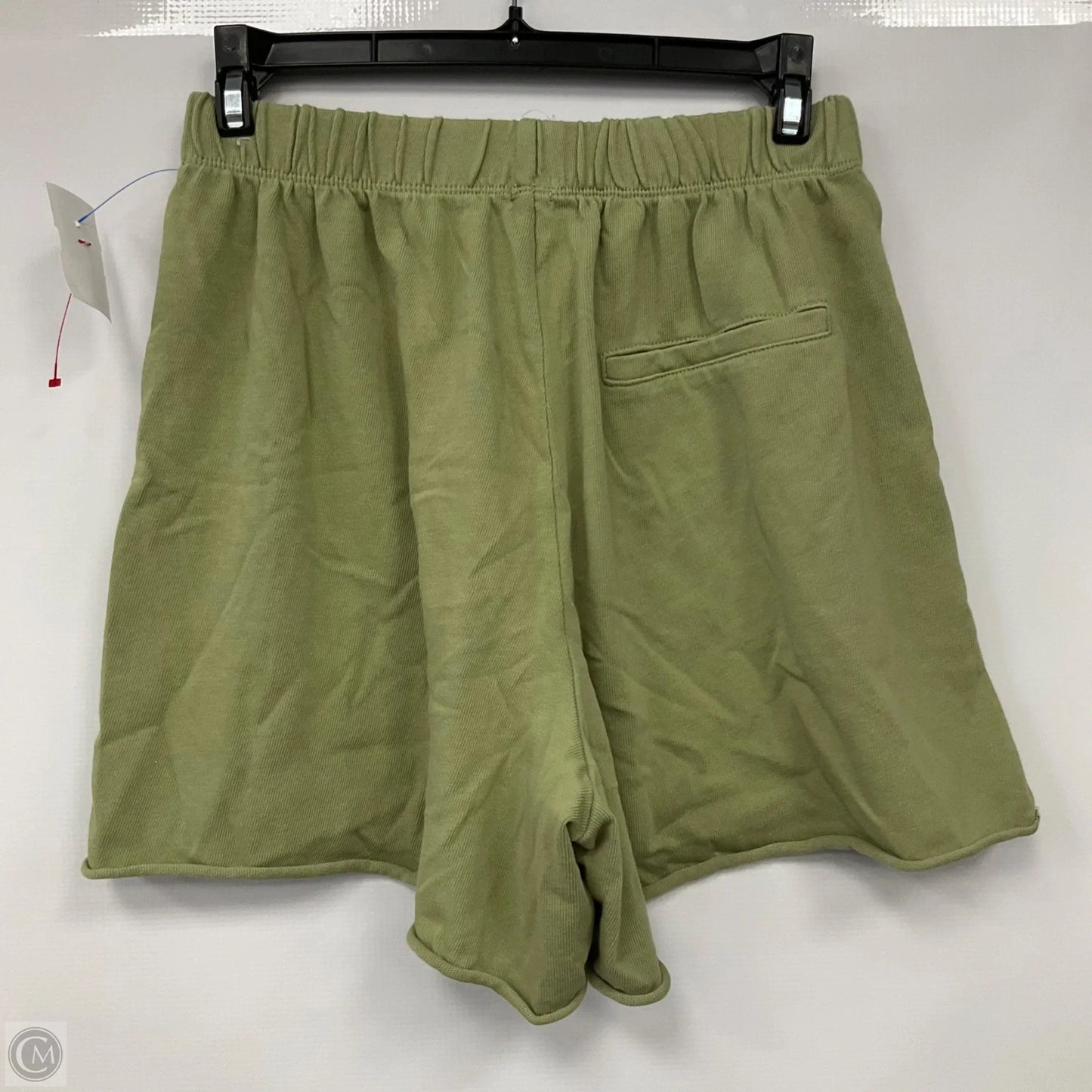 Shorts By Aerie In Green, Size: S