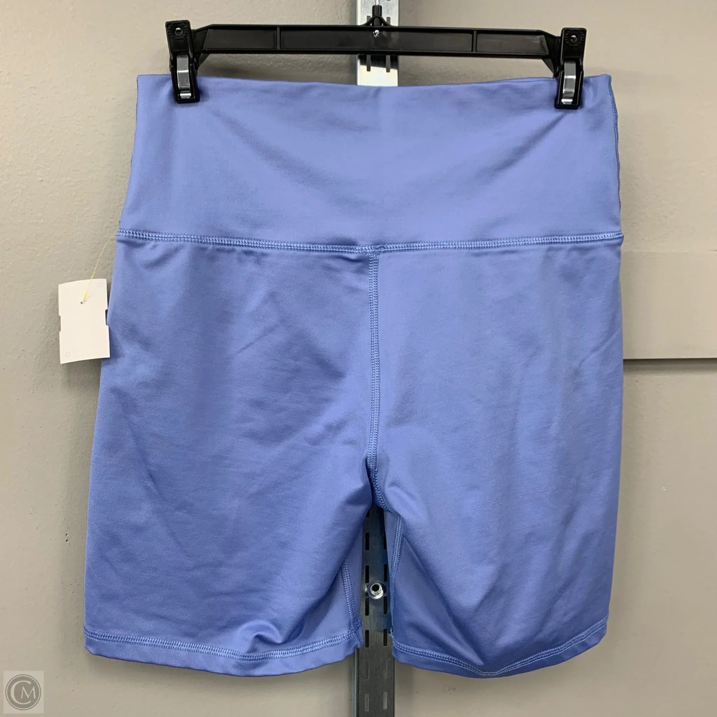 Athletic Shorts By Aerie In Blue, Size: L