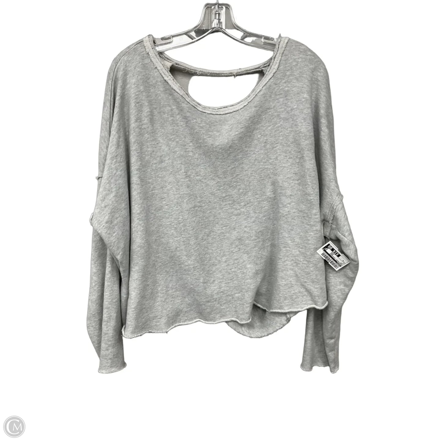 Sweatshirt Hoodie By Aerie In Grey, Size: M