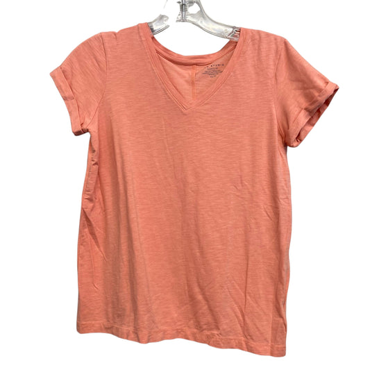 Top Ss Basic By Max Studio In Coral, Size:Xs