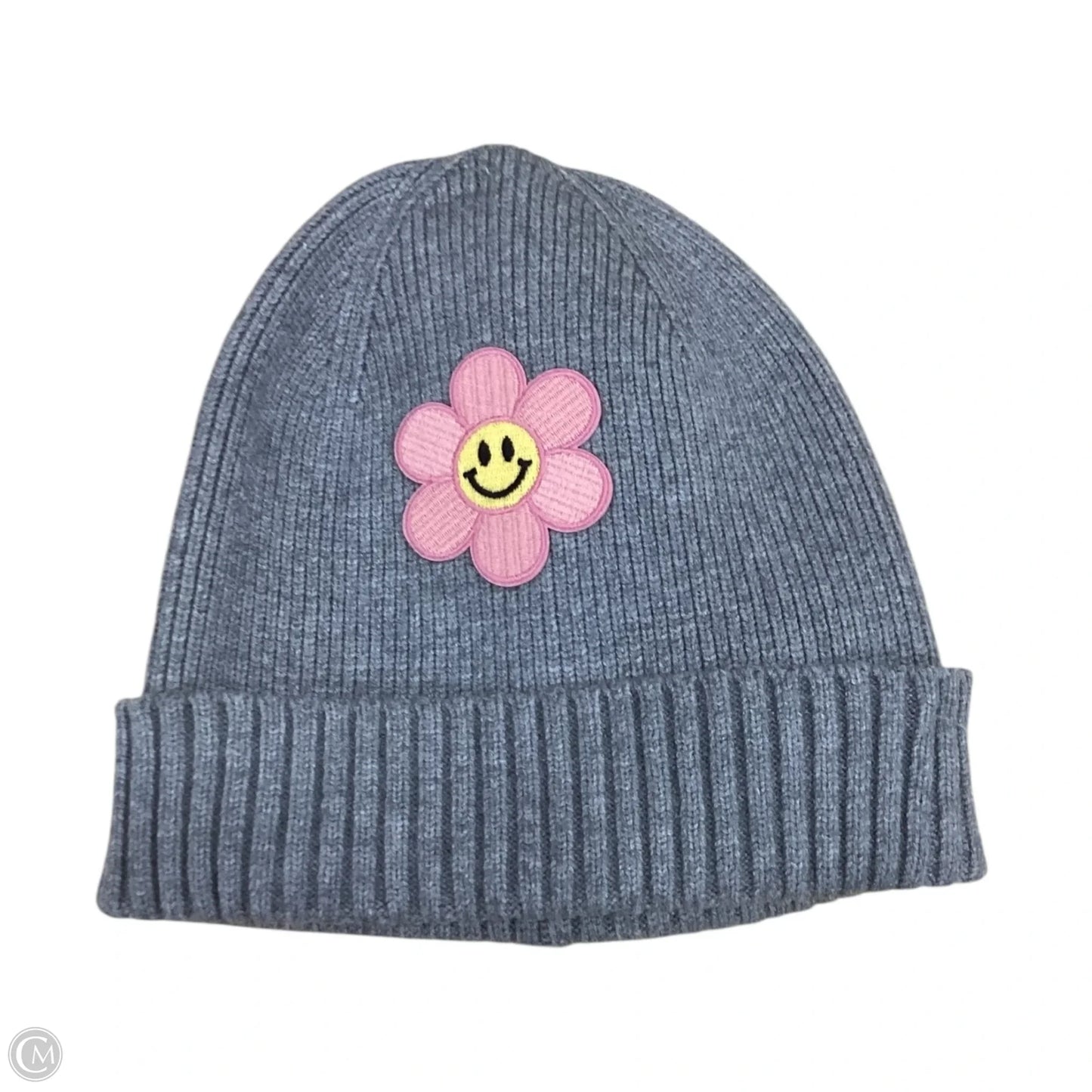 Hat Beanie By Clothes Mentor