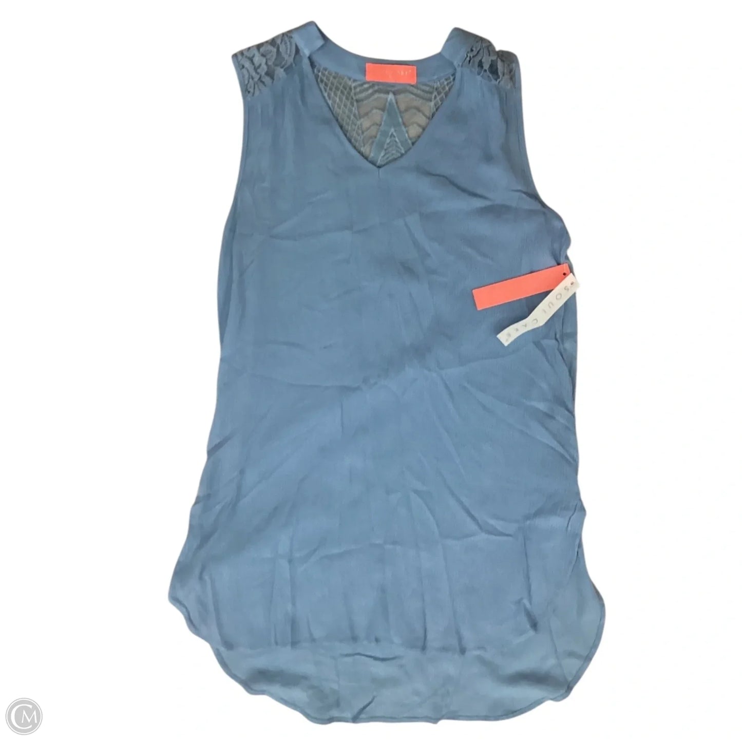 Blouse Sleeveless By Clothes Mentor In Blue, Size: S