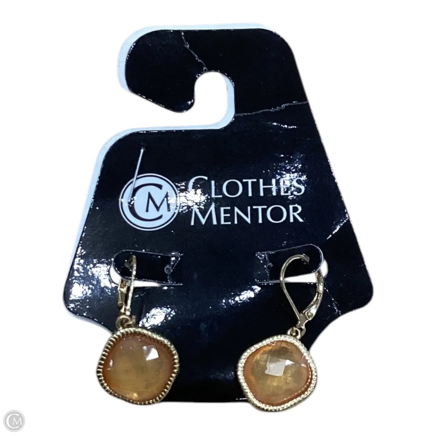 Earrings Dangle/drop By Clothes Mentor