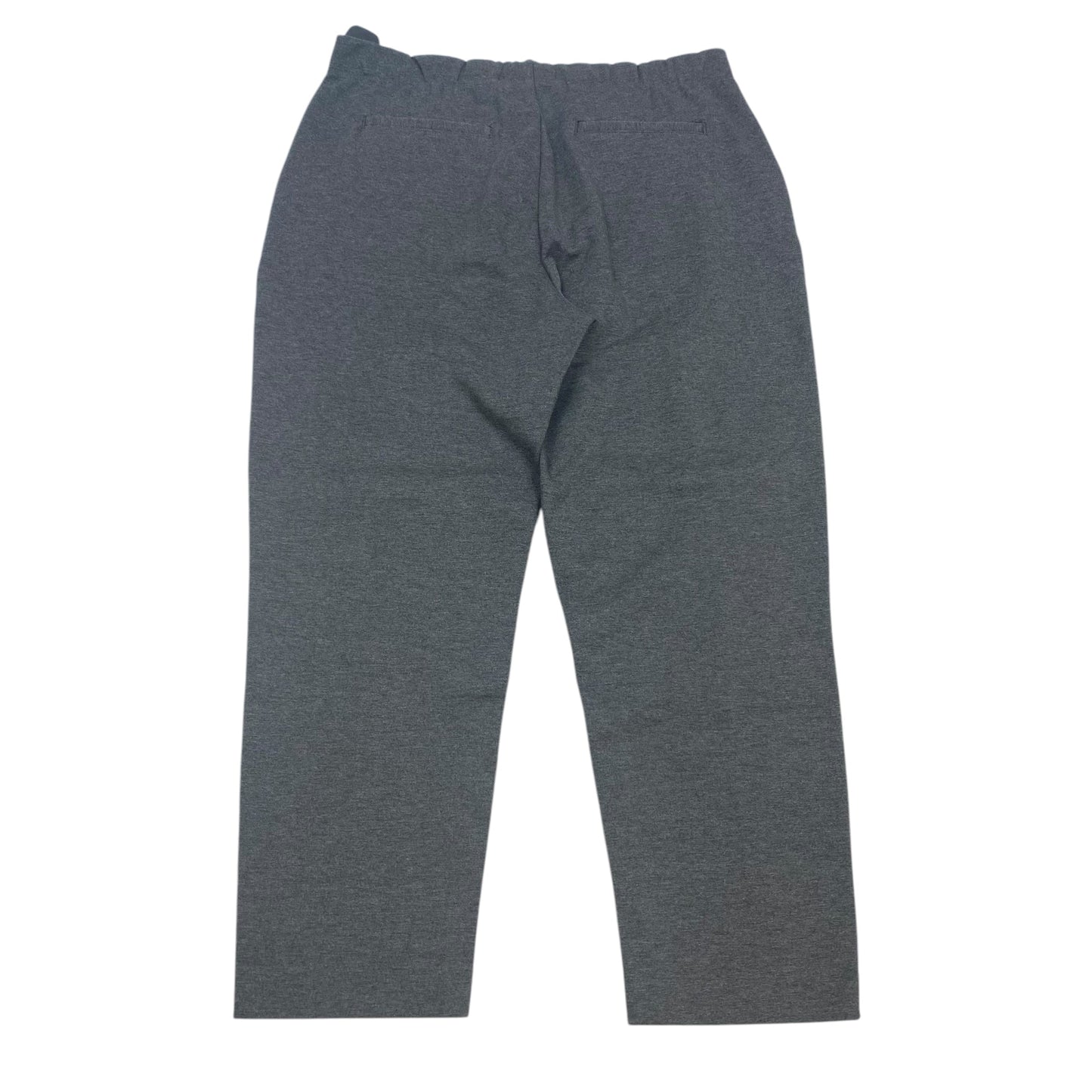 Pants Other By Everlane In Grey, Size: Xl