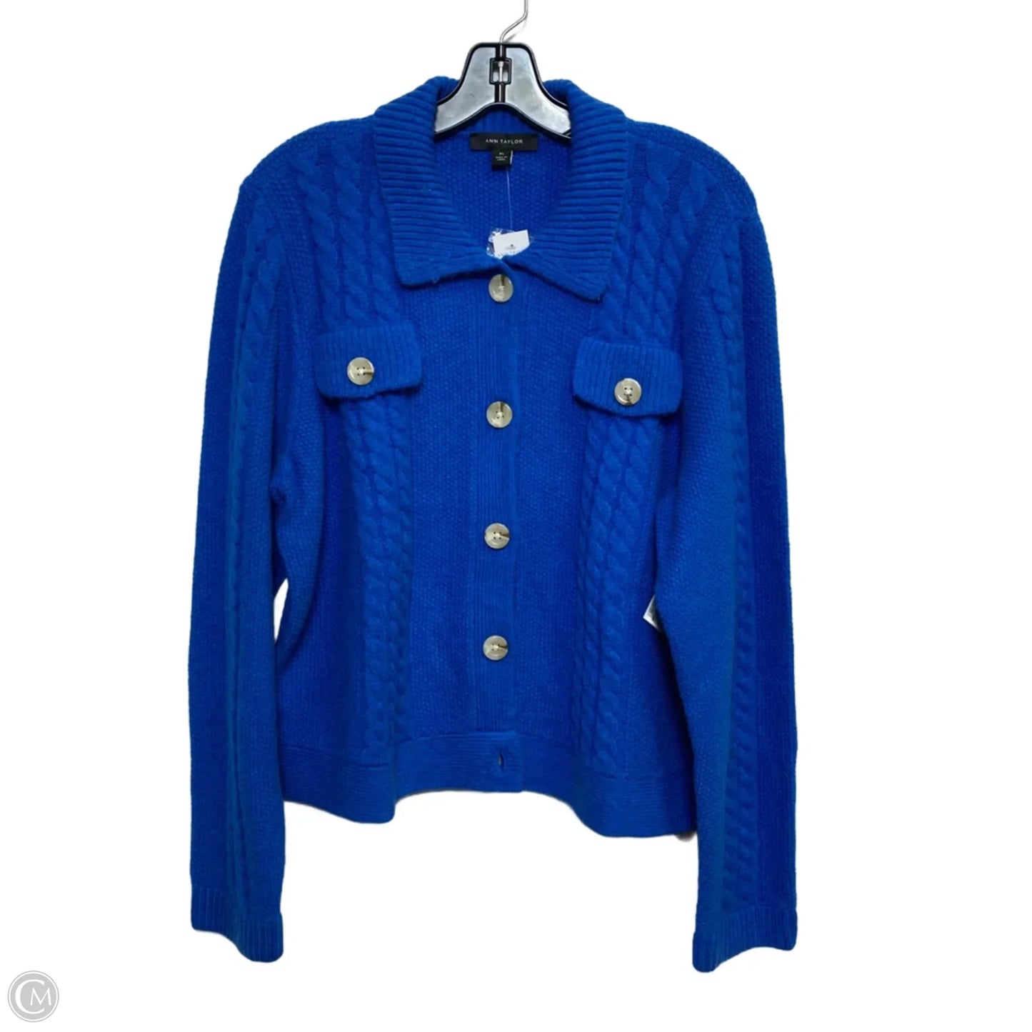 Sweater Cardigan By Ann Taylor In Blue, Size: Xl