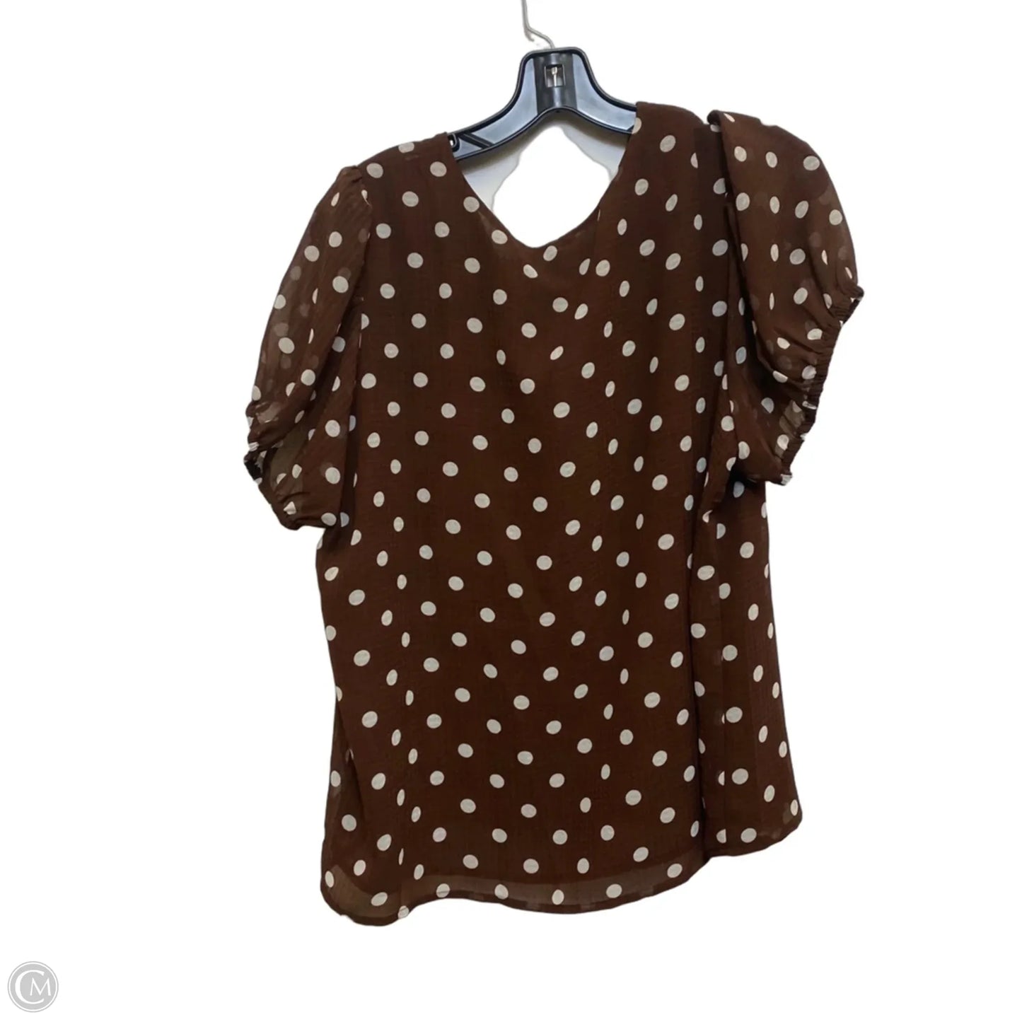 Top Short Sleeve By Market & Spruce In Brown, Size: 1x