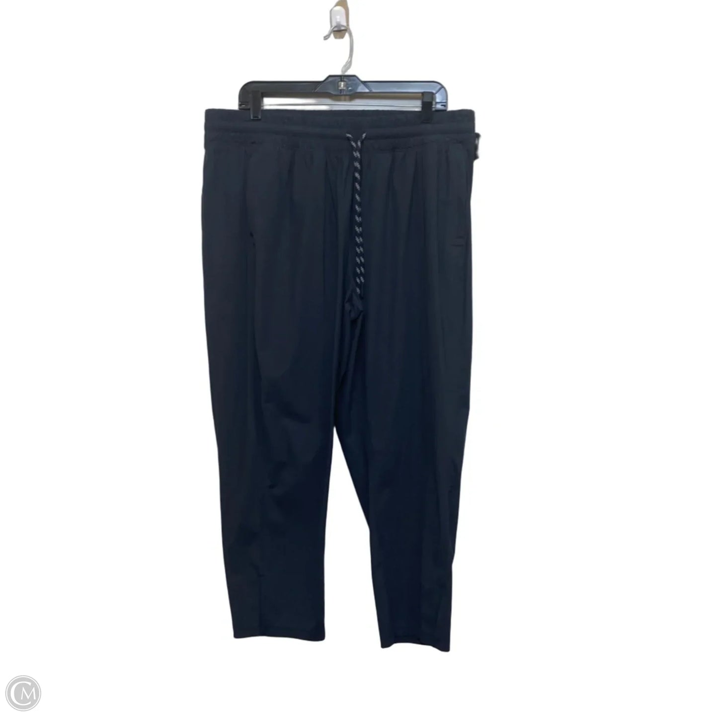 Athletic Pants By Flx In Blue, Size: Xxl