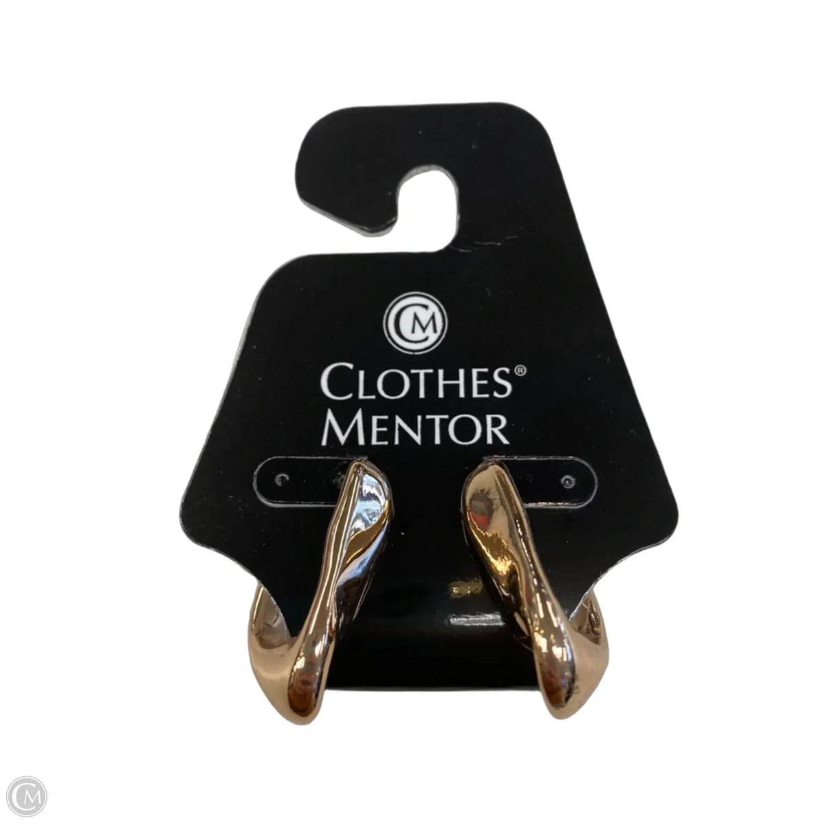 Earrings Dangle/drop By Clothes Mentor