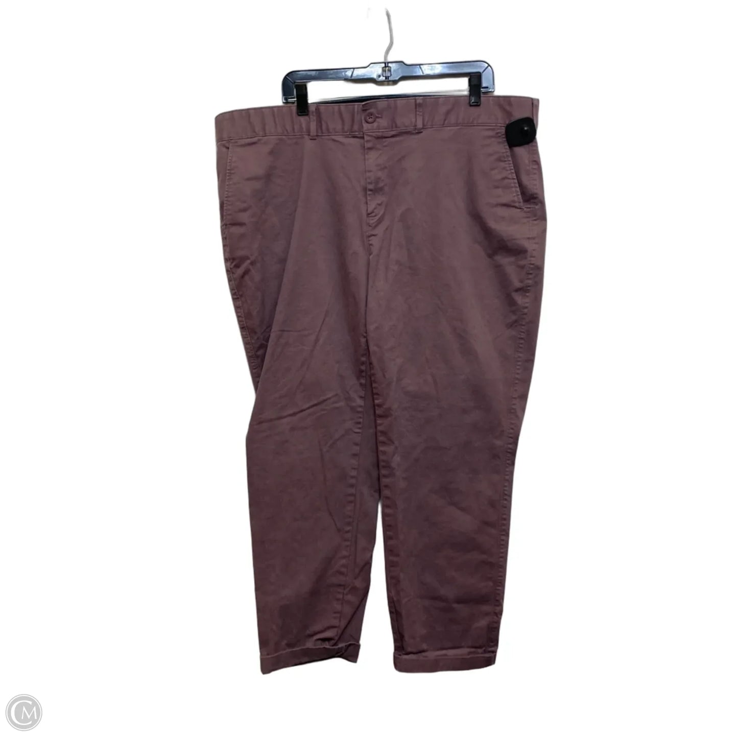 Pants Chinos & Khakis By Eddie Bauer In Purple, Size: 20