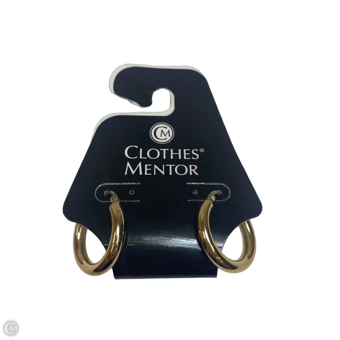 Earrings Hoop By Clothes Mentor
