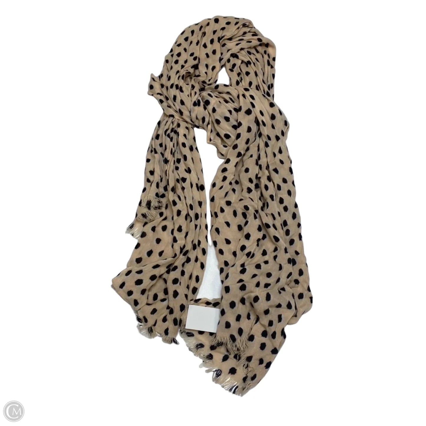 Scarf Long Designer By Kate Spade