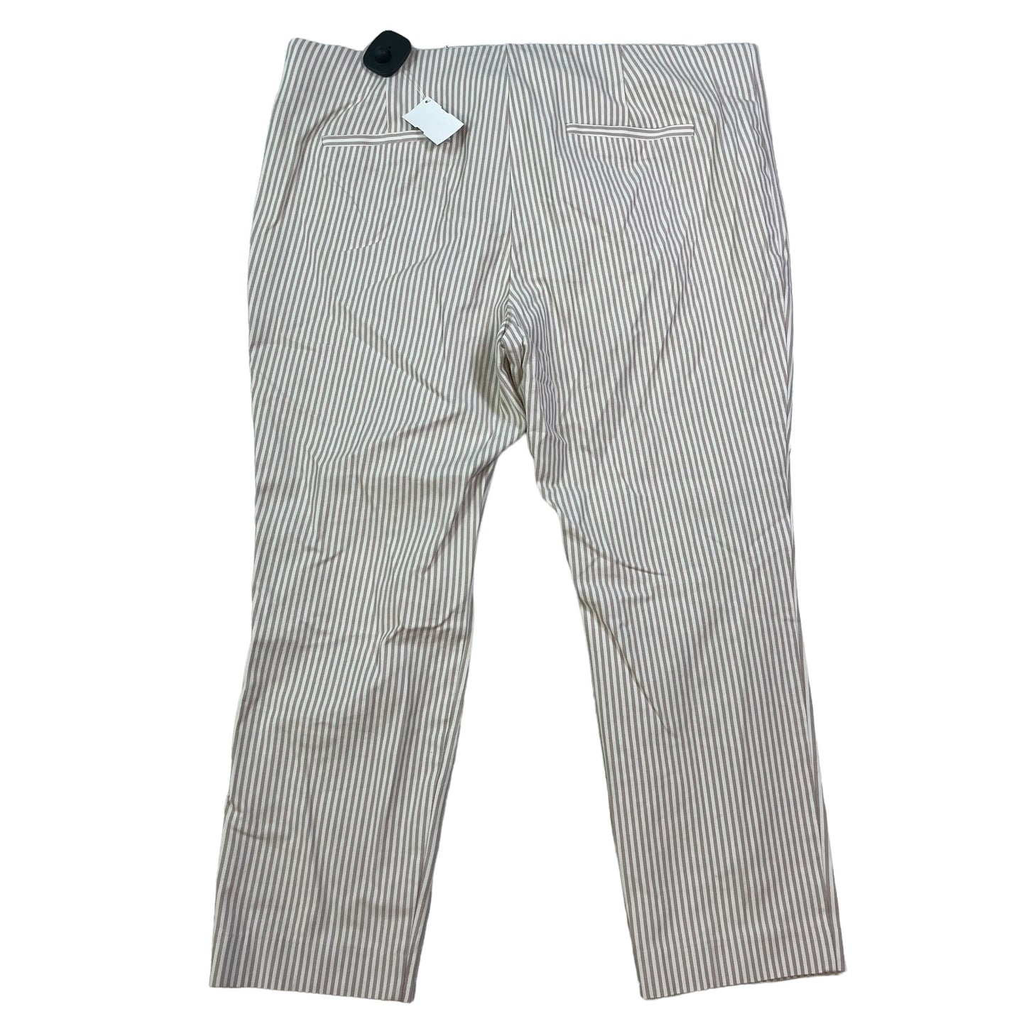 Tan & White Pants Cropped A New Day, Size 1x