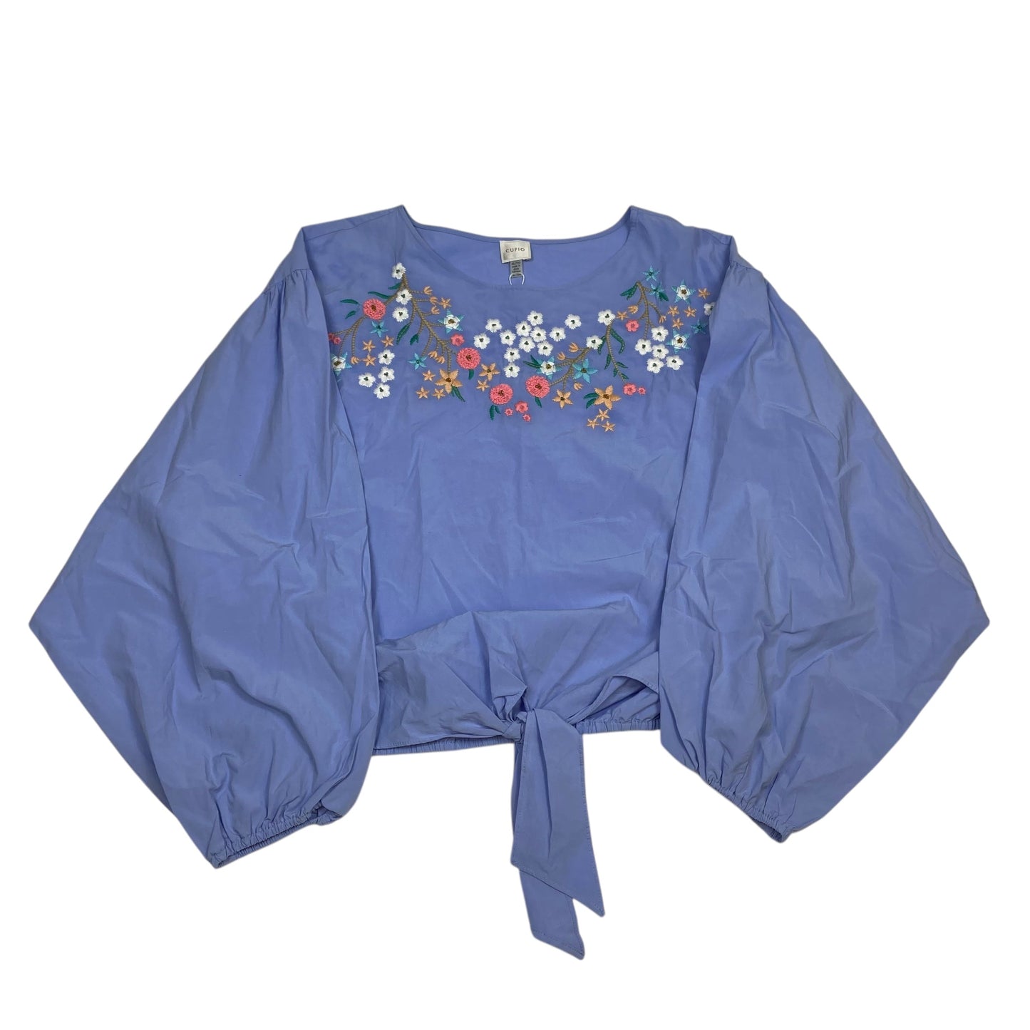 Top Long Sleeve By Cupio In Blue & Brown, Size: Xl