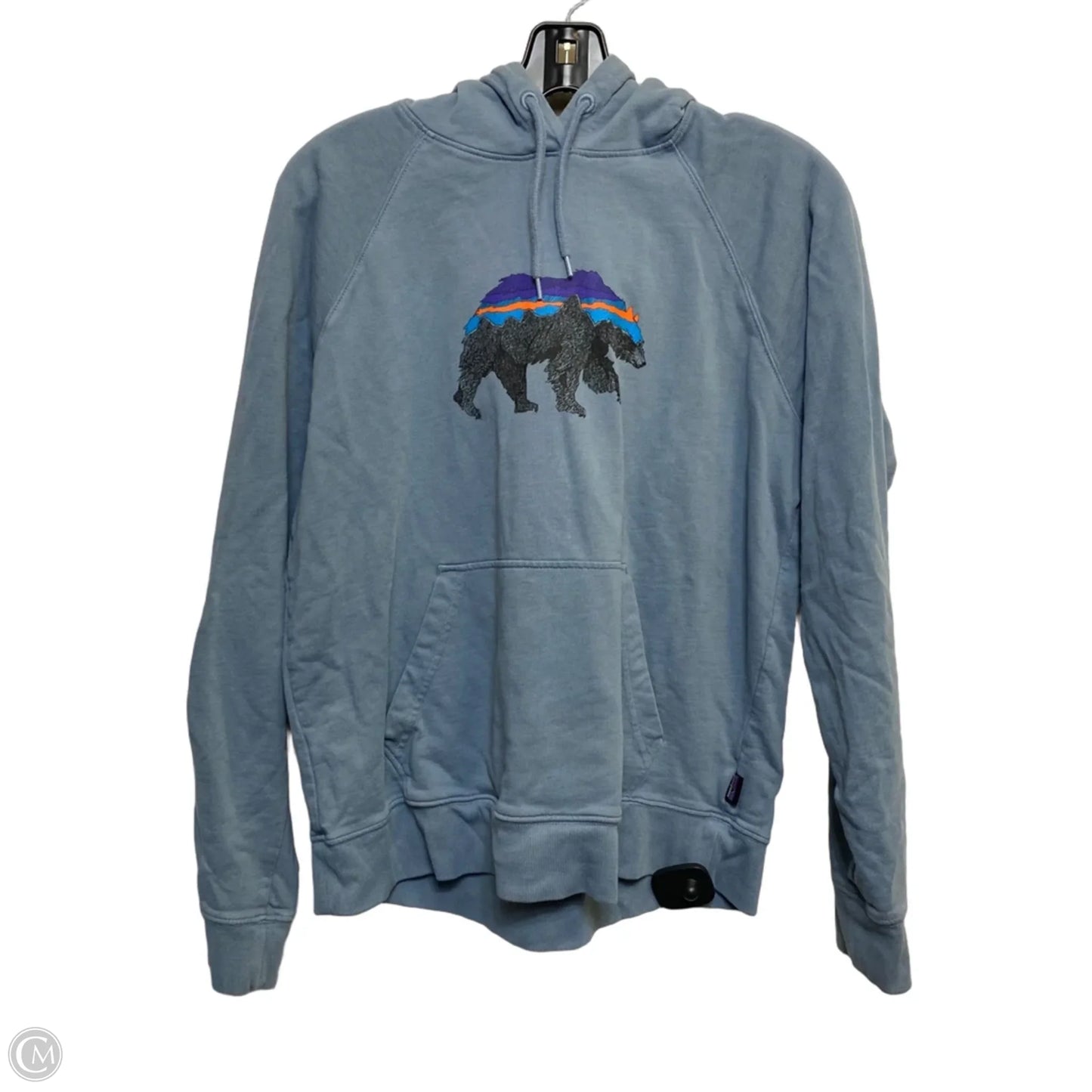 Athletic Sweatshirt Hoodie By Patagonia In Blue, Size: L