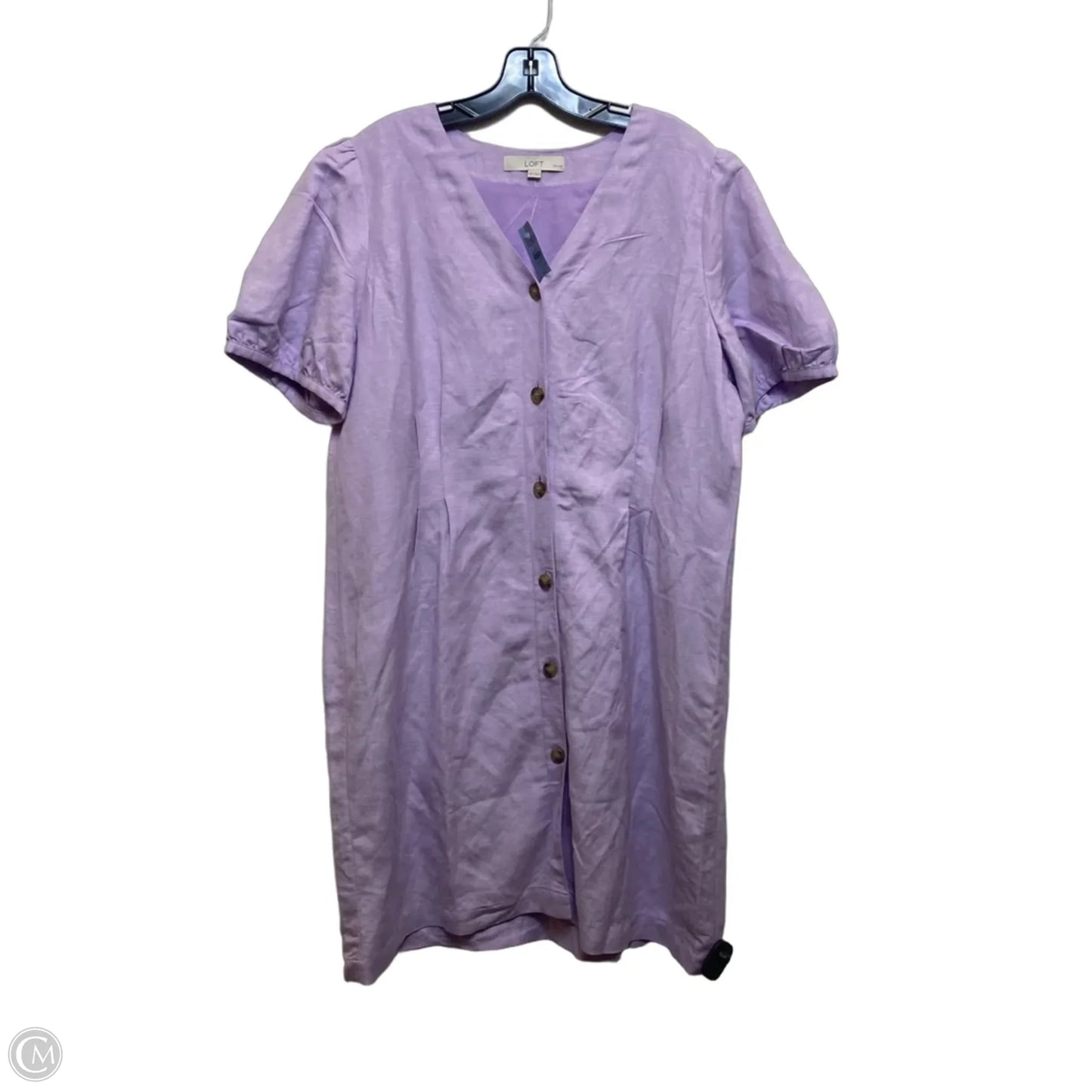 Dress Casual Short By Loft In Purple, Size: 16