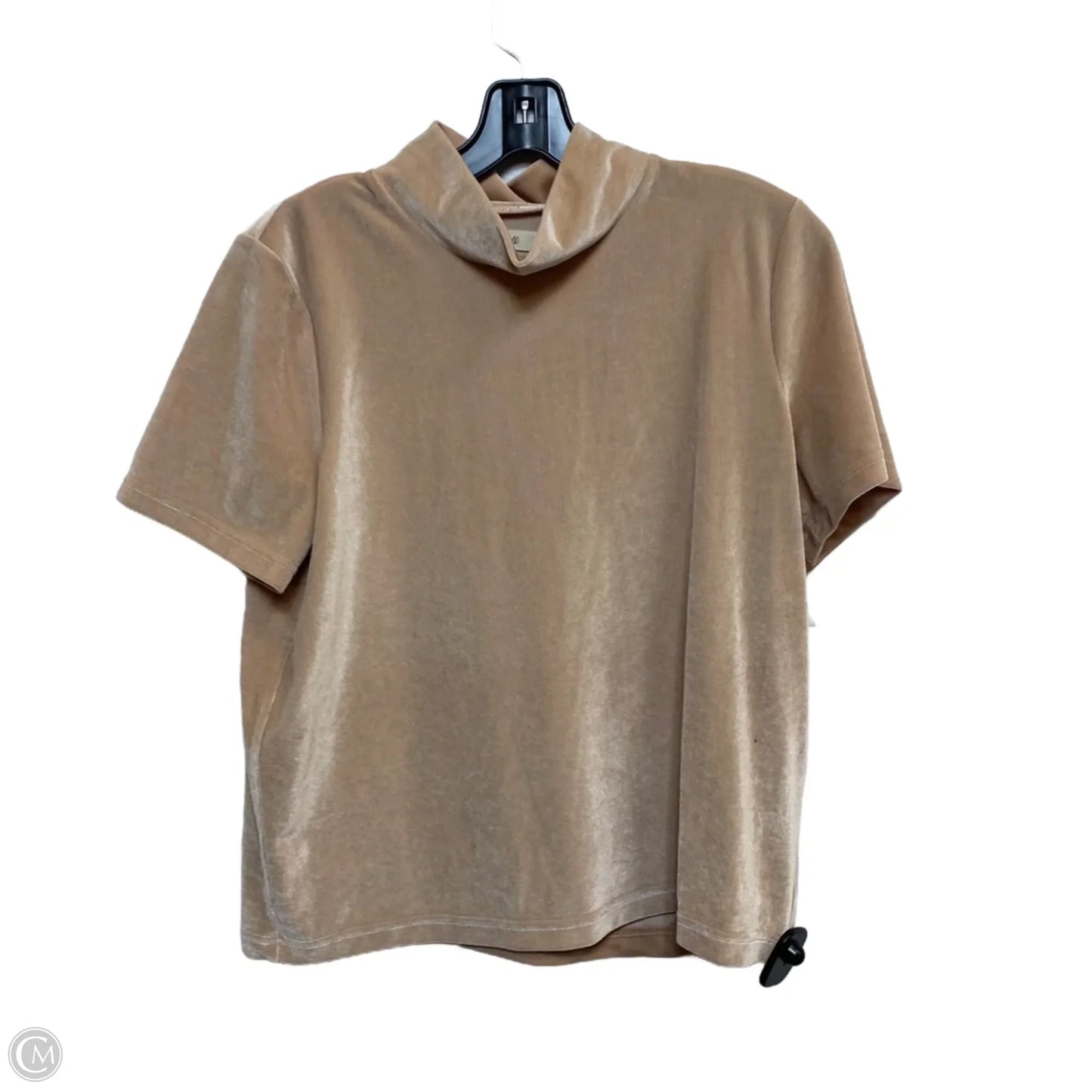 Top Short Sleeve By Madewell In Tan, Size: M