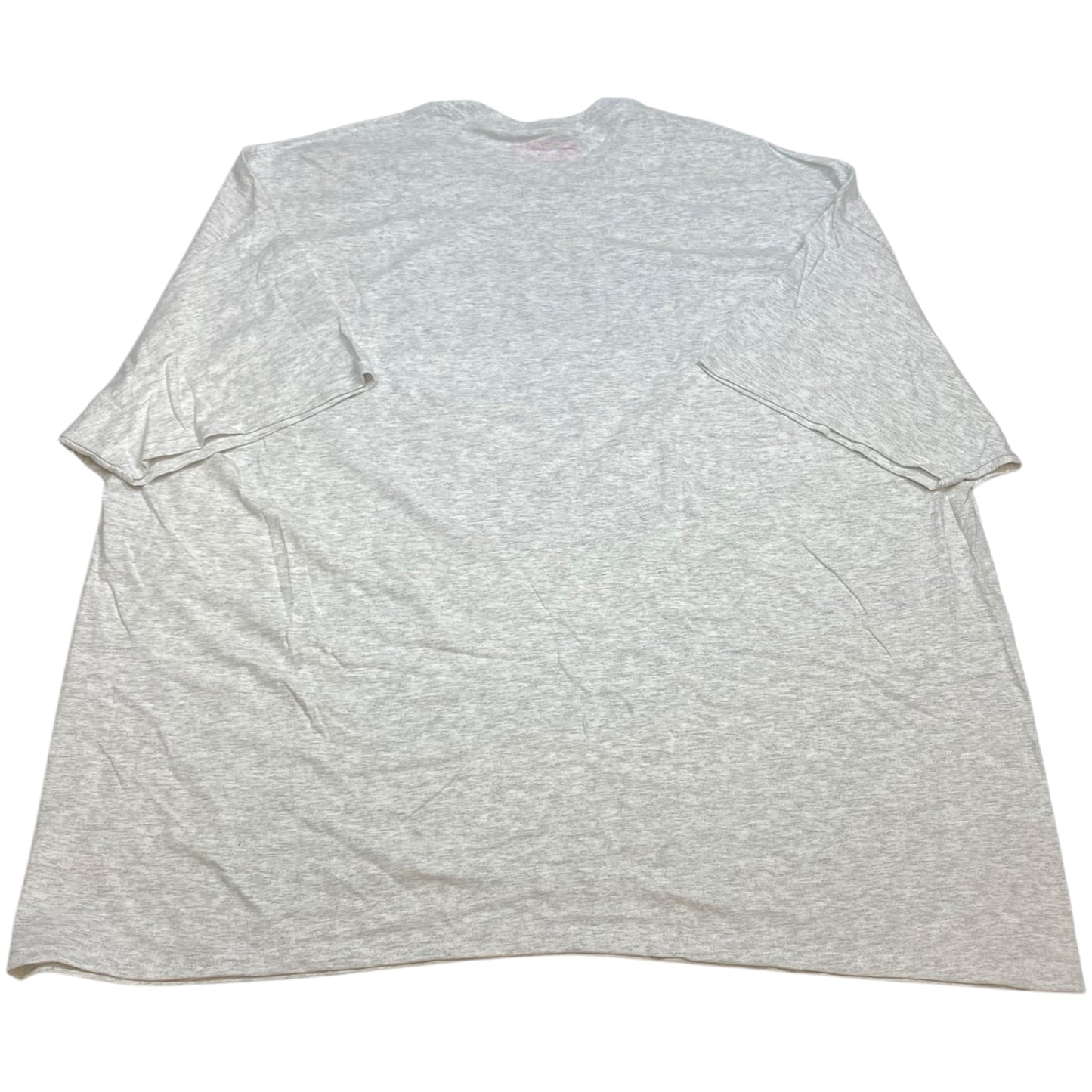 Top Short Sleeve By Girl Tribe Co In Grey, Size: 4x