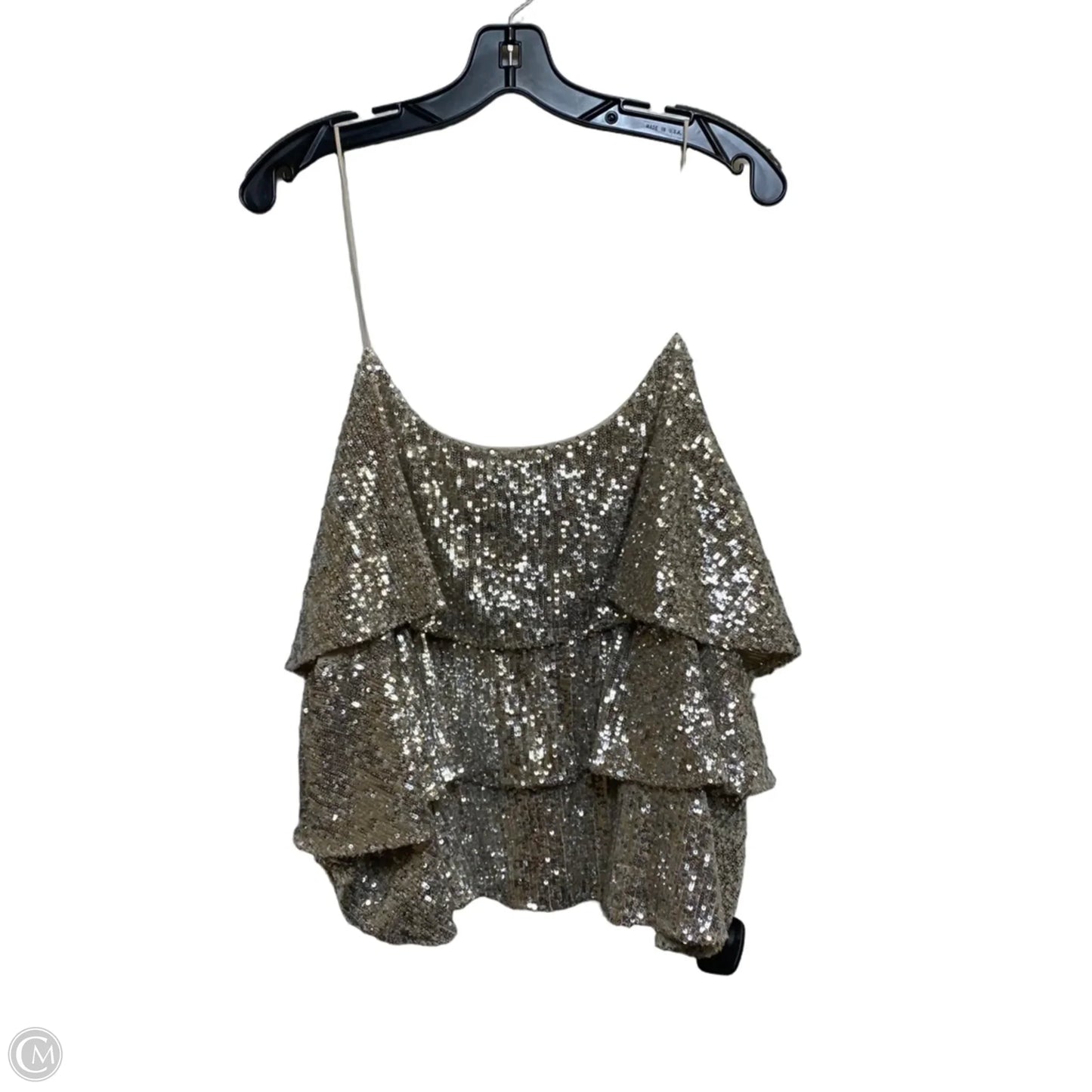 Top Sleeveless By Express In Silver & Tan, Size: Xl